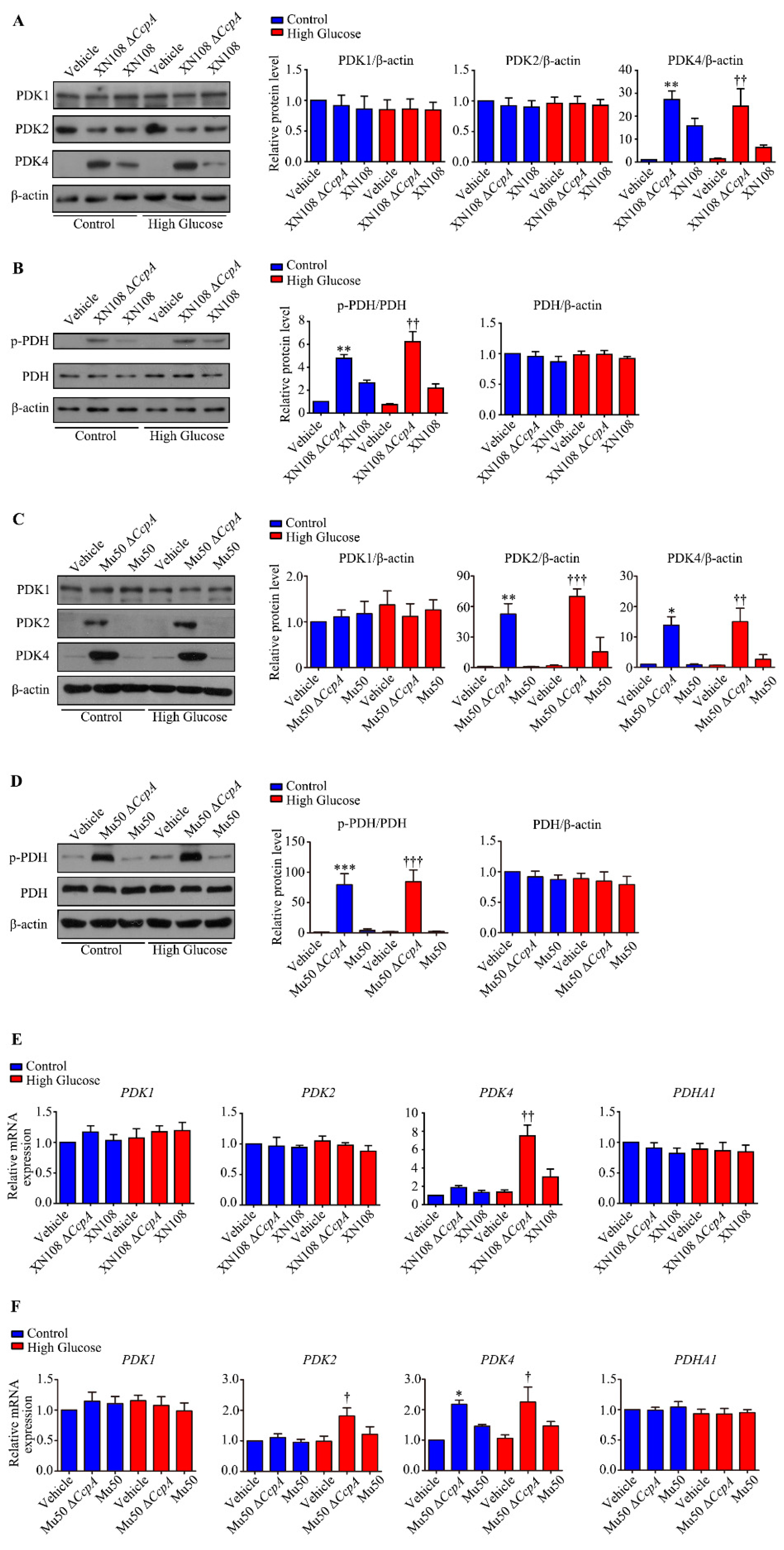 Pathogens 12 01300 g005