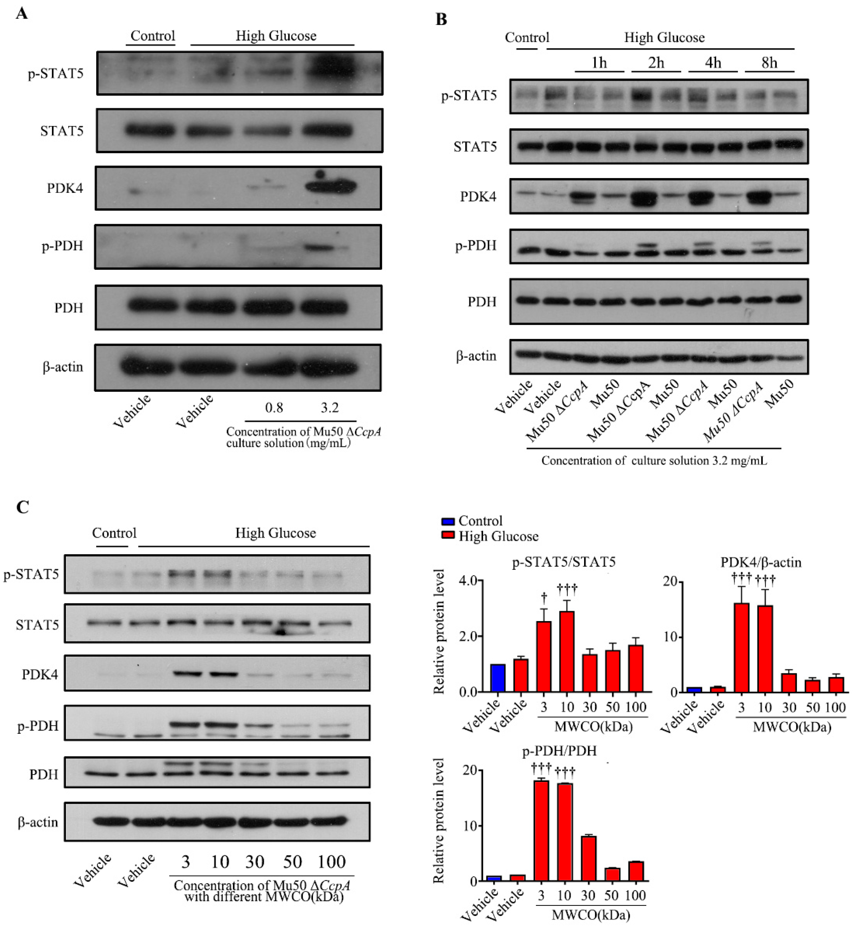 Pathogens 12 01300 g008