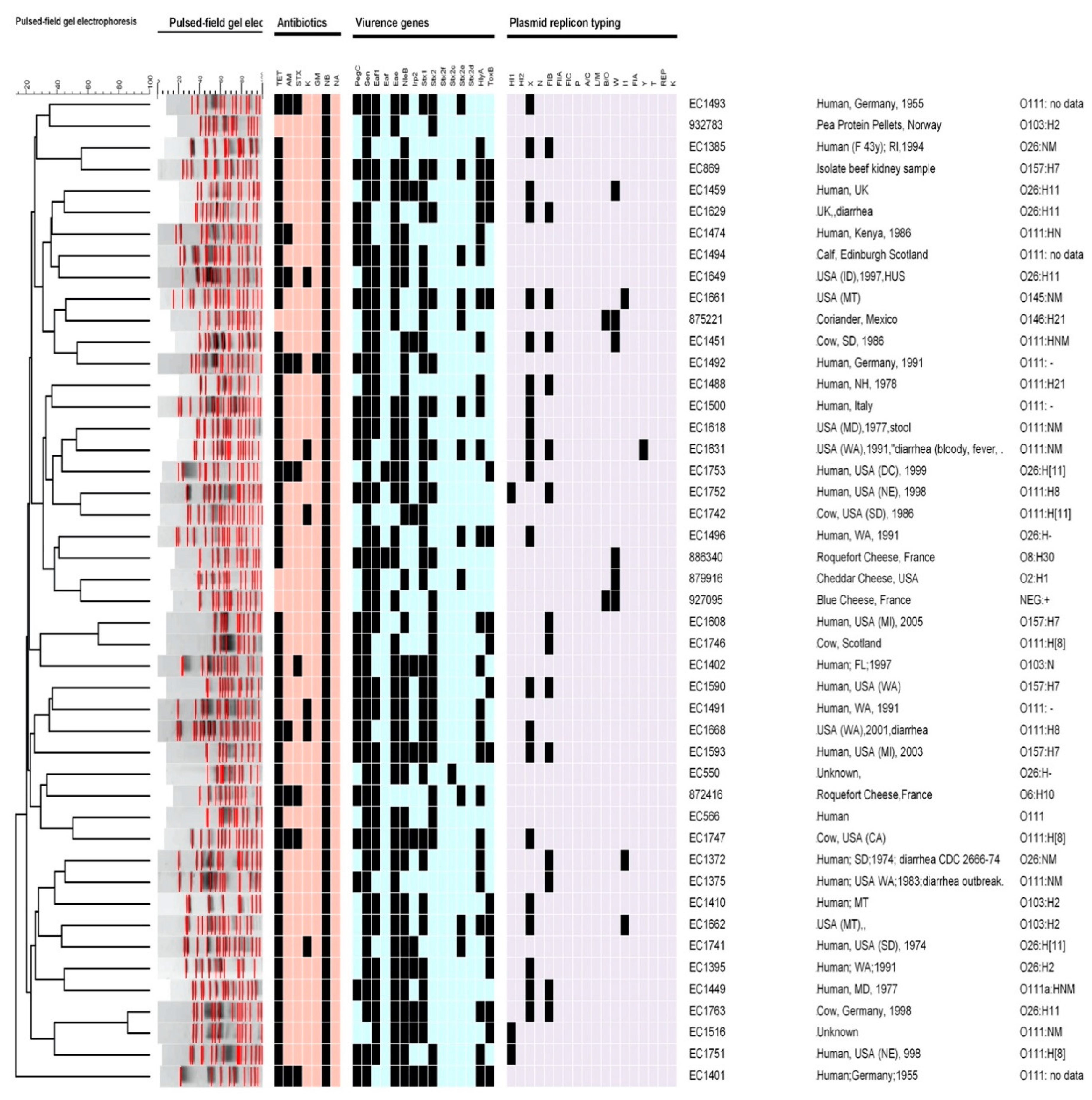 Pathogens 12 01302 g001 Pathogens 12 01302 g001