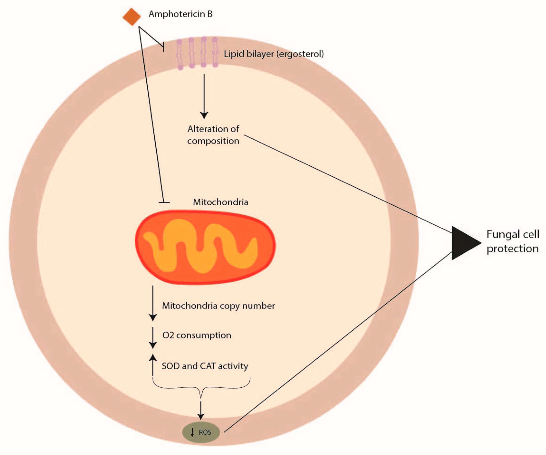 Pathogens 12 01305 g002