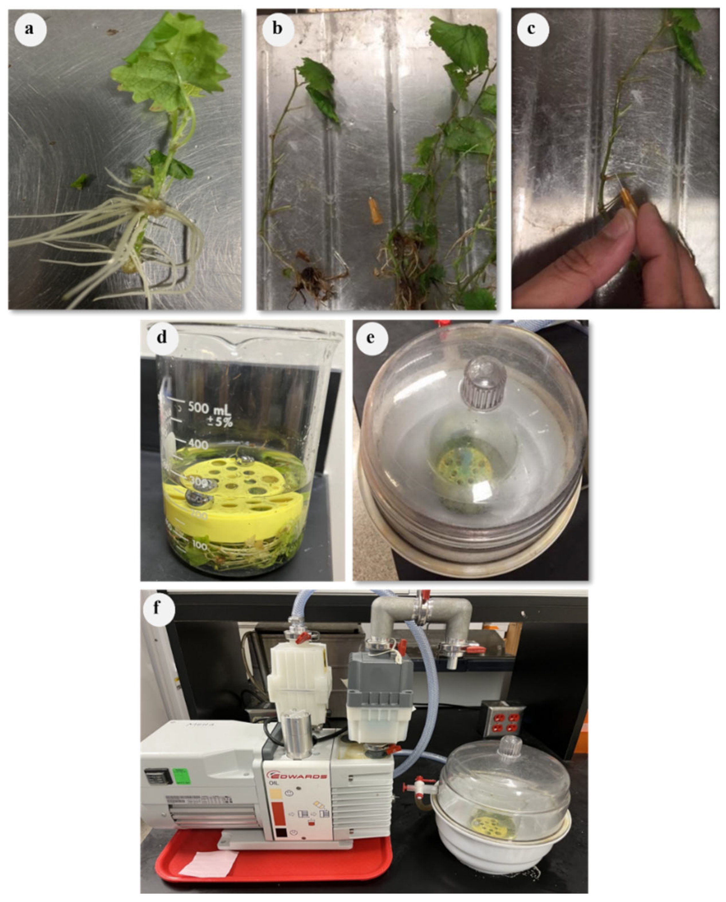 Pathogens 12 01314 g002