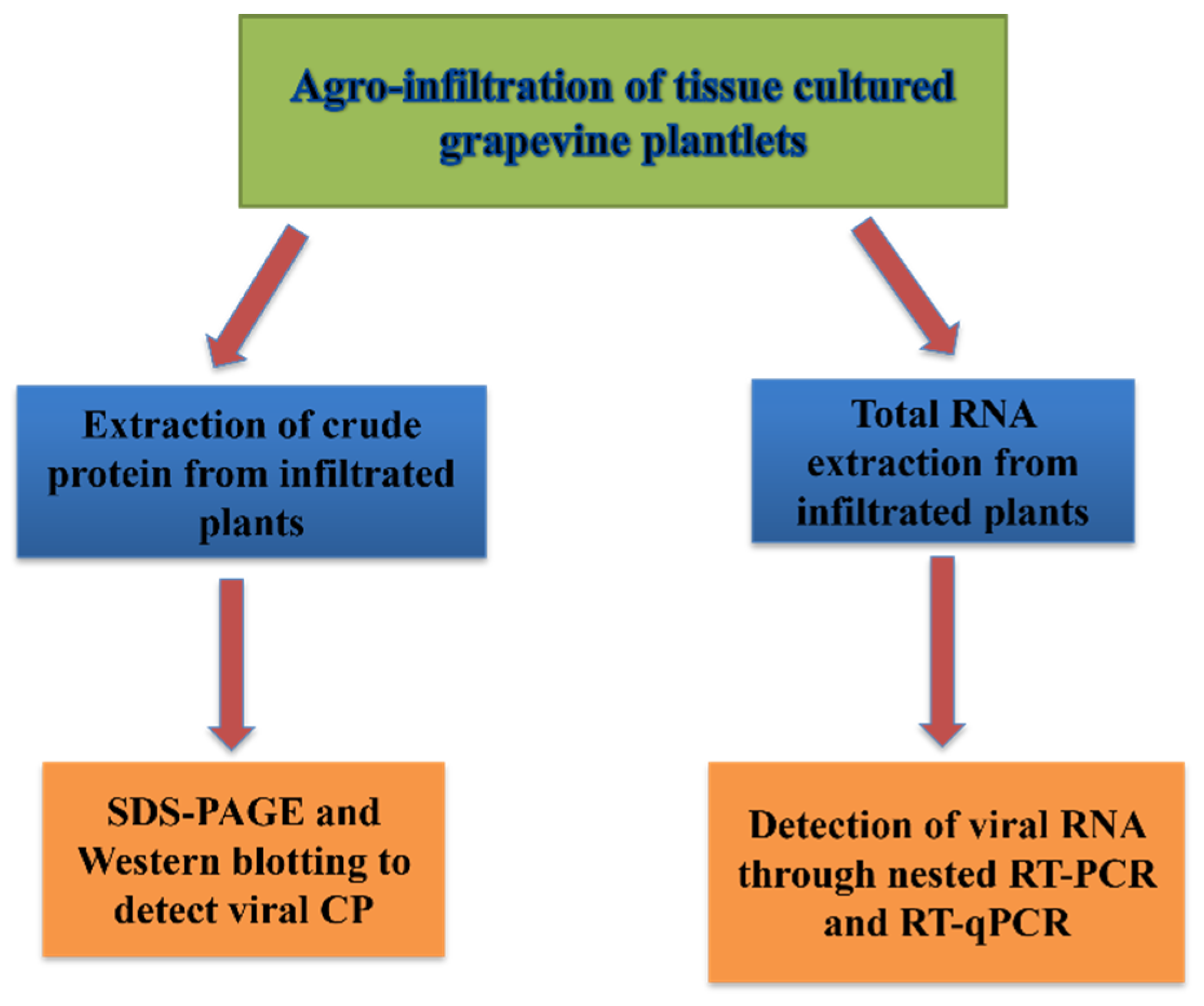 Pathogens 12 01314 g004