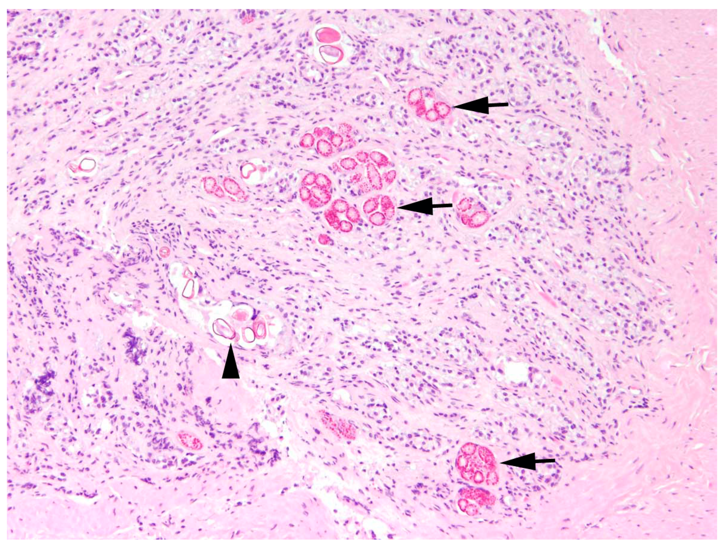 Pathogens 12 01317 g005