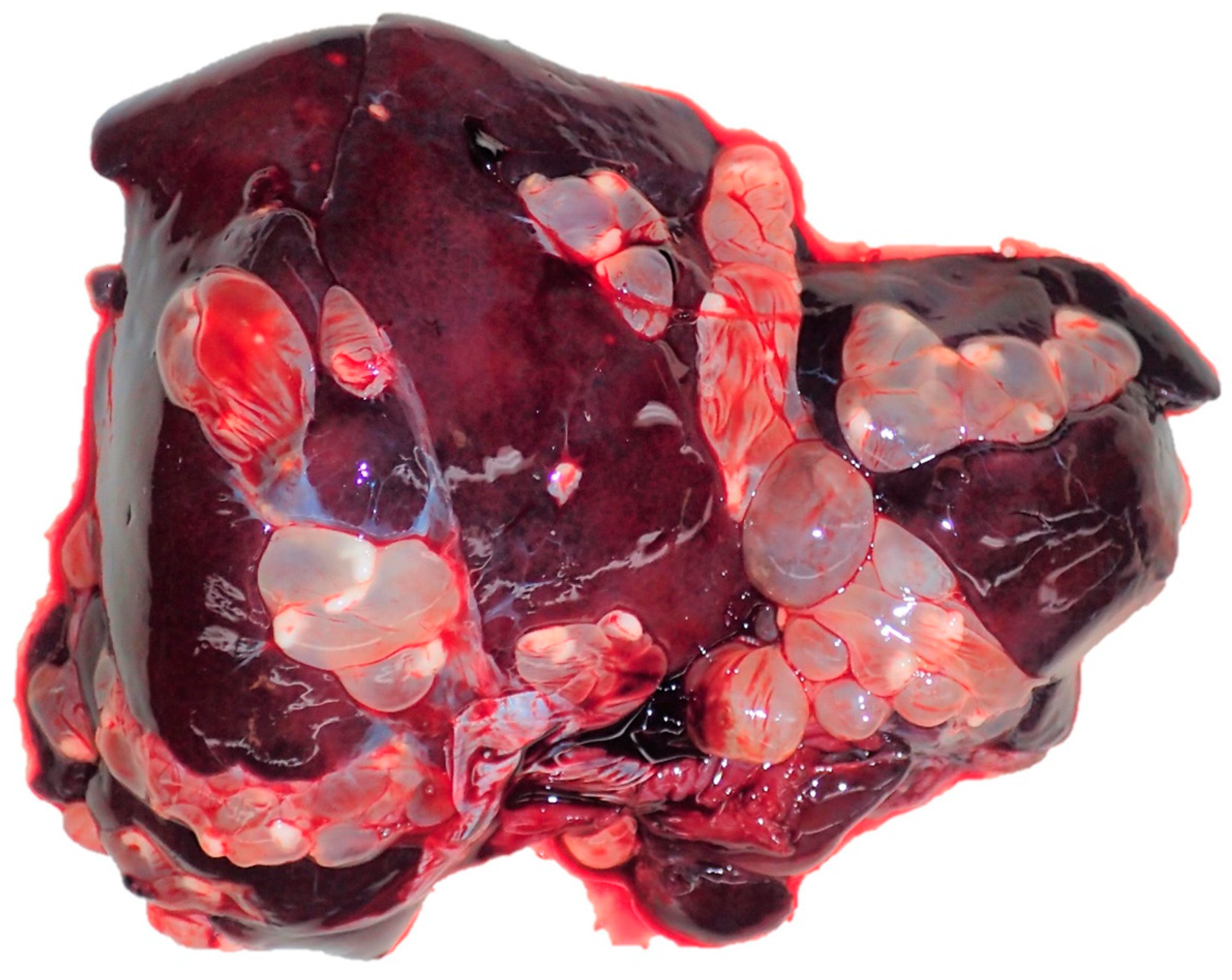 Pathogens 12 01317 g013