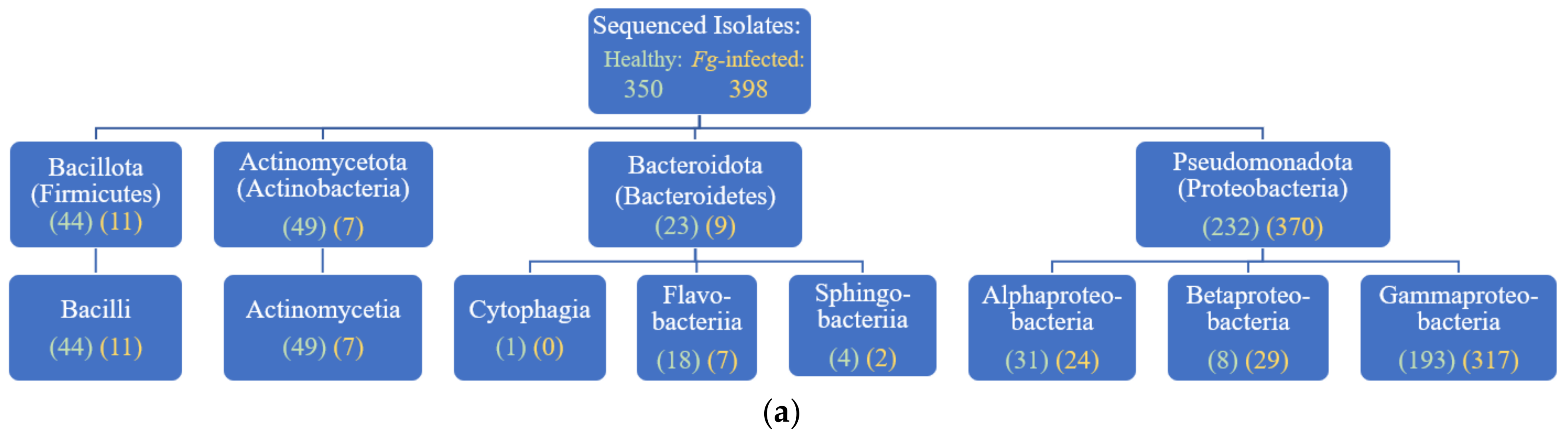 Pathogens 12 01322 g001a Pathogens 12 01322 g001a