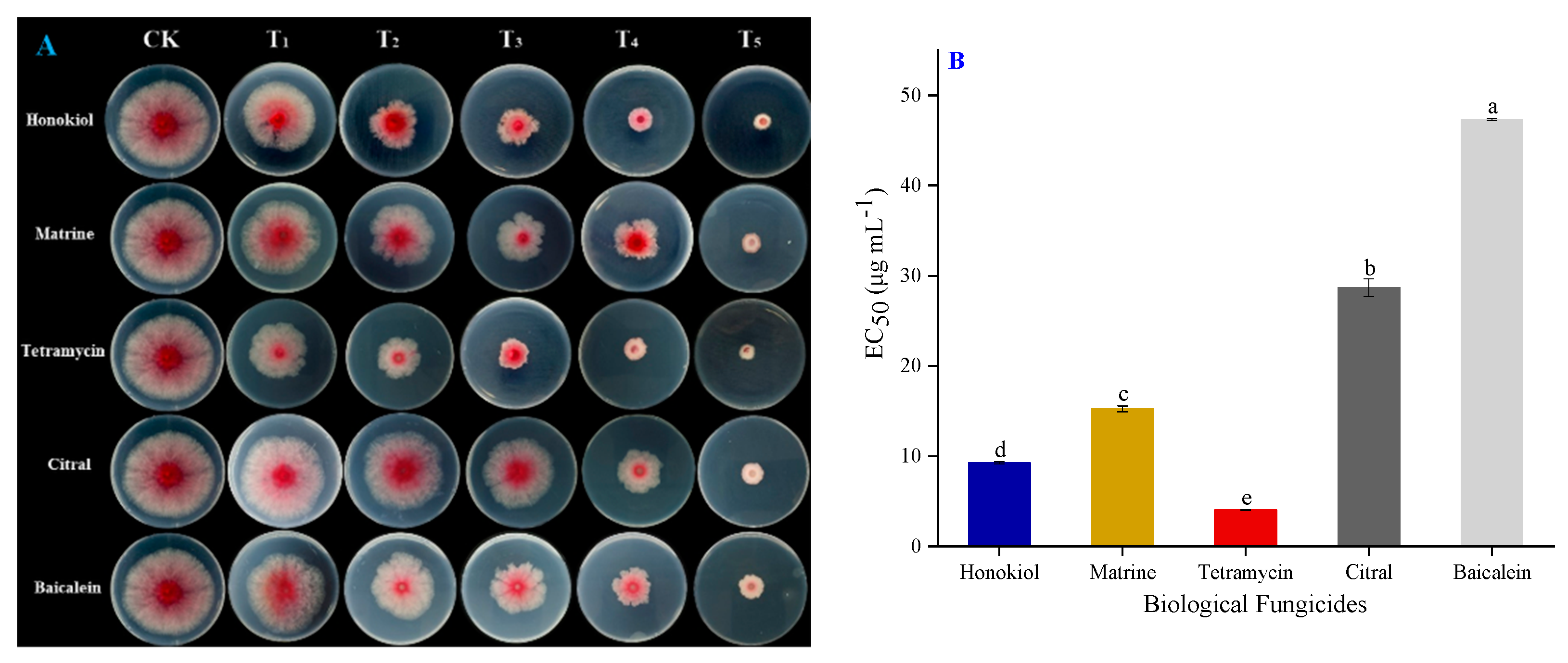 Pathogens 12 01327 g004