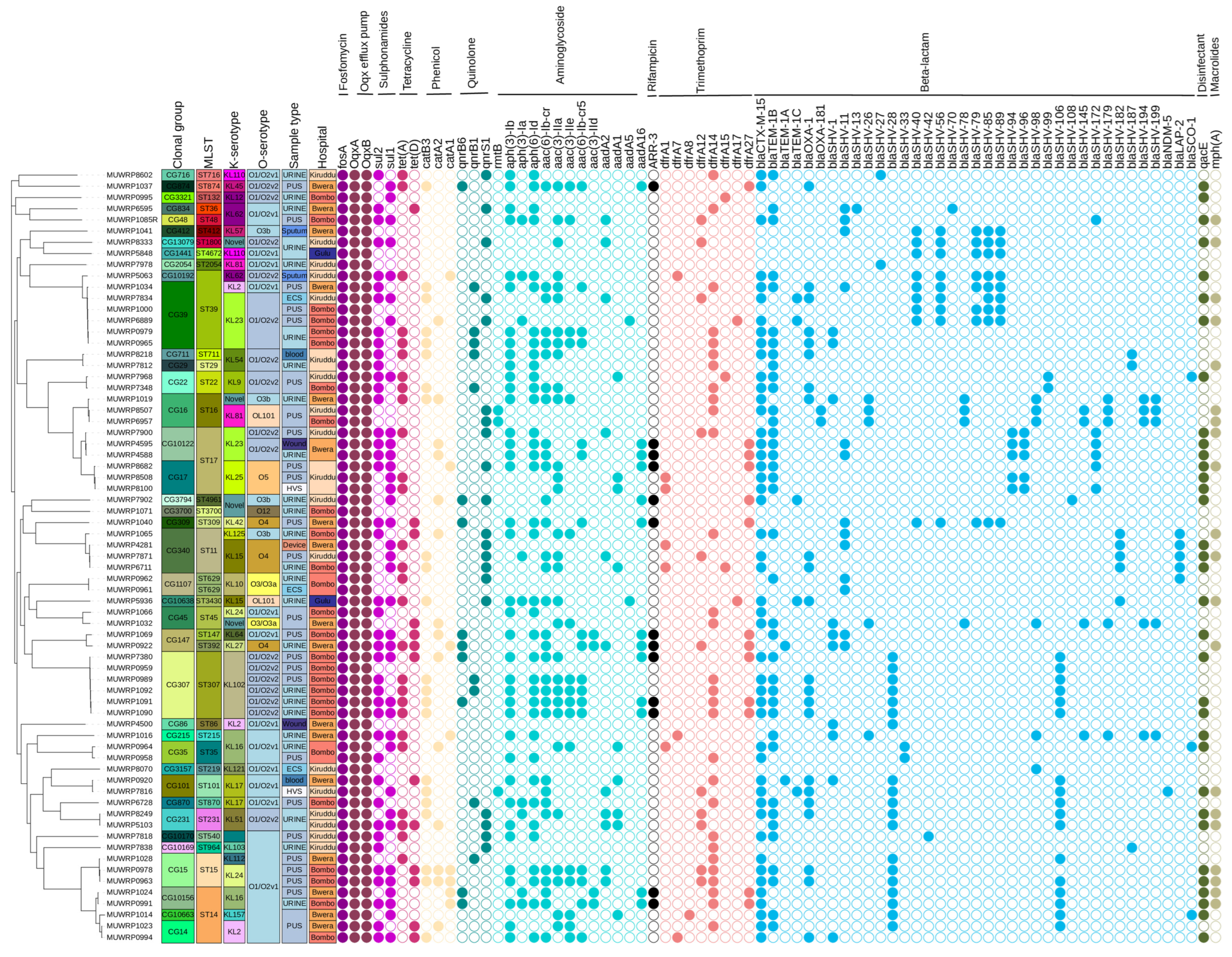 Pathogens 12 01334 g001