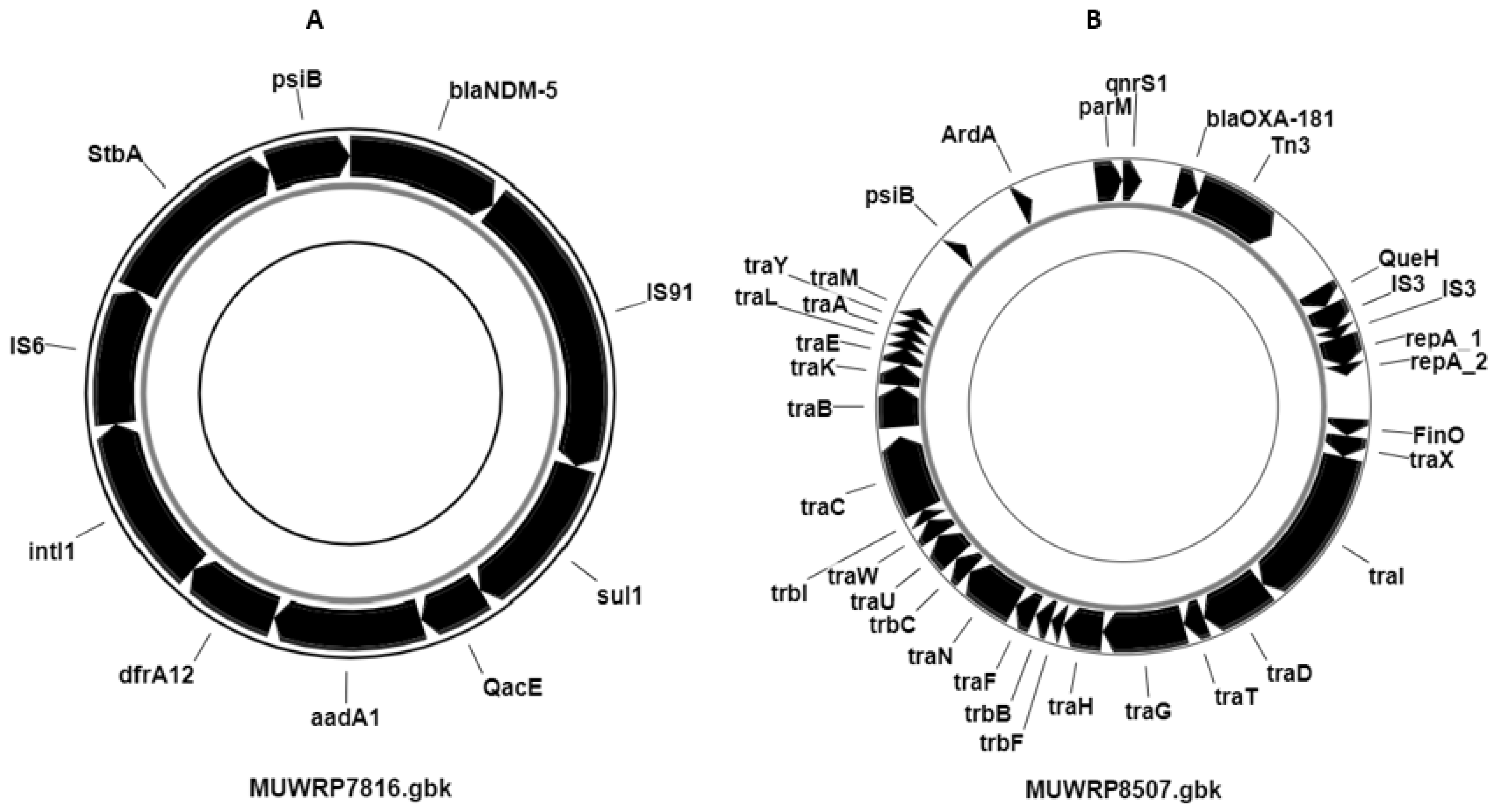 Pathogens 12 01334 g003