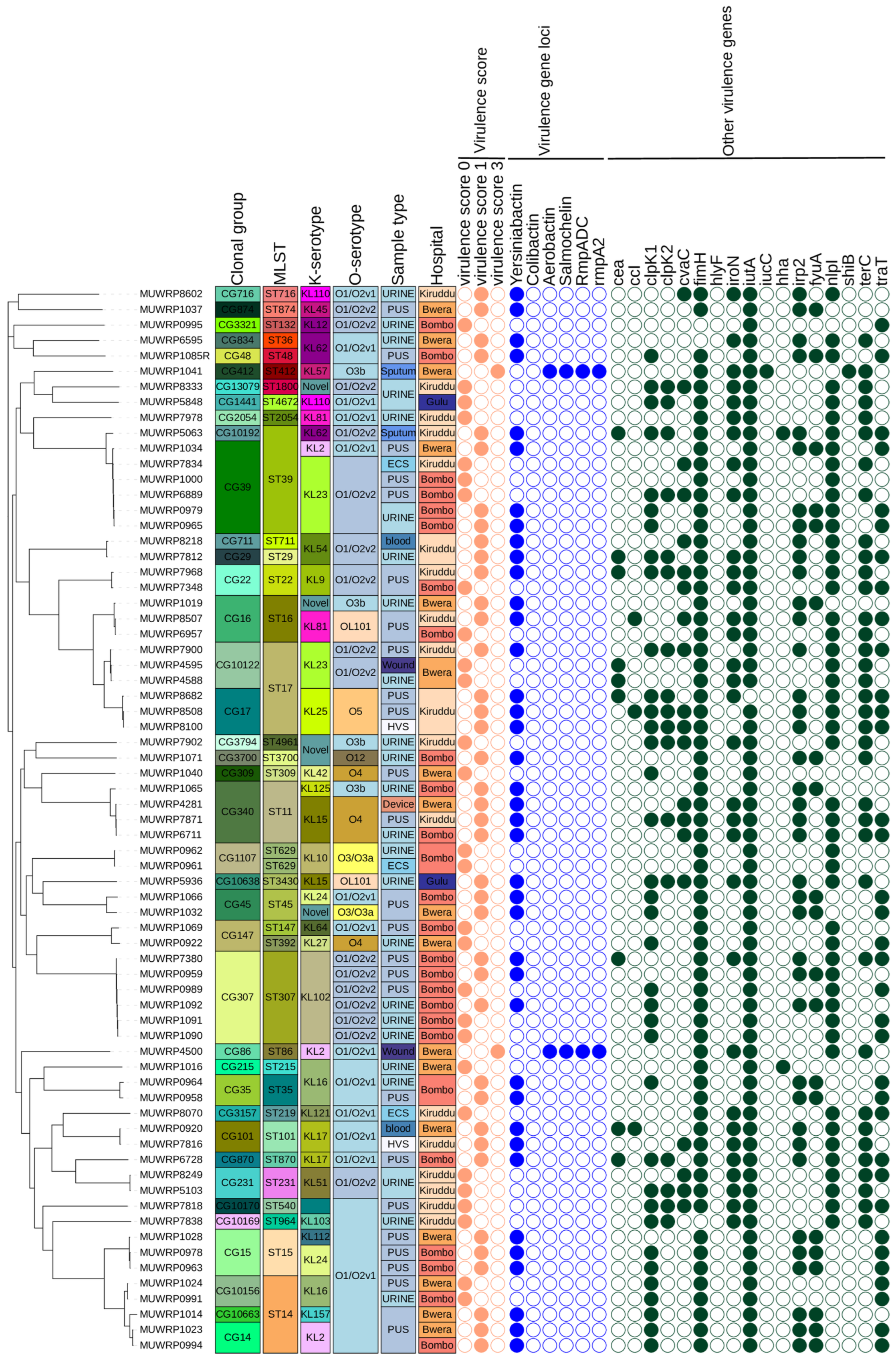 Pathogens 12 01334 g004