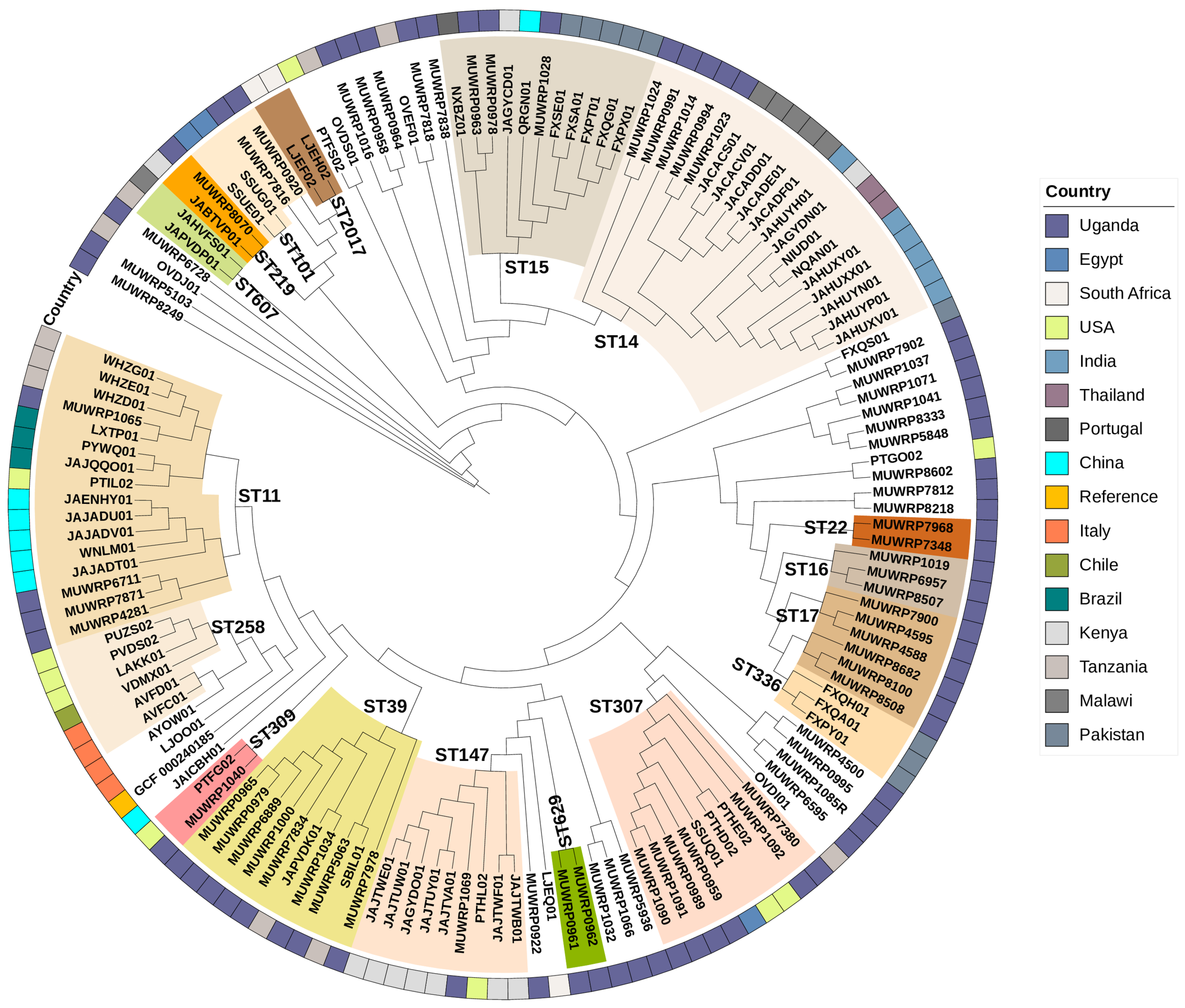 Pathogens 12 01334 g006