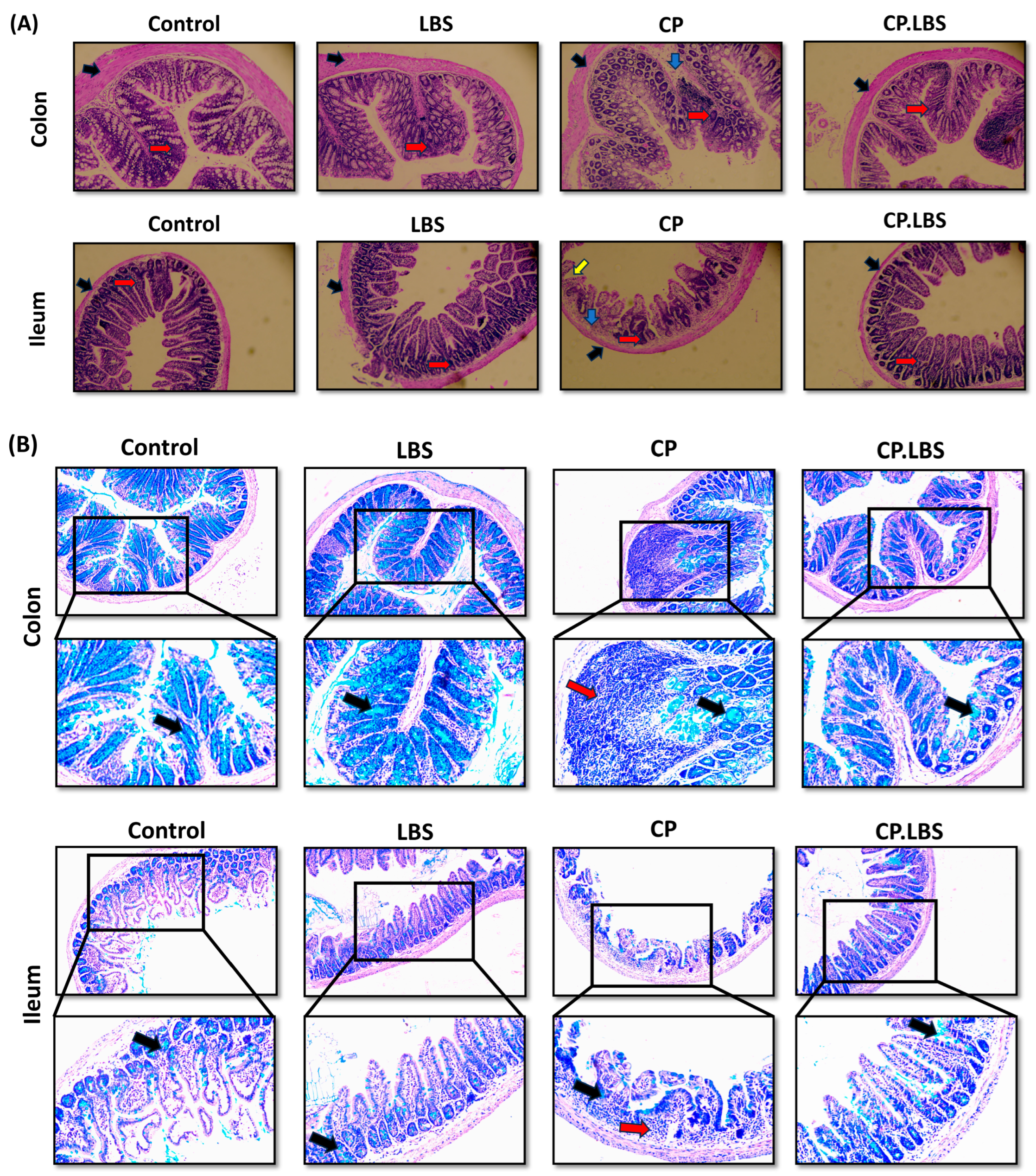 Pathogens 12 01340 g004