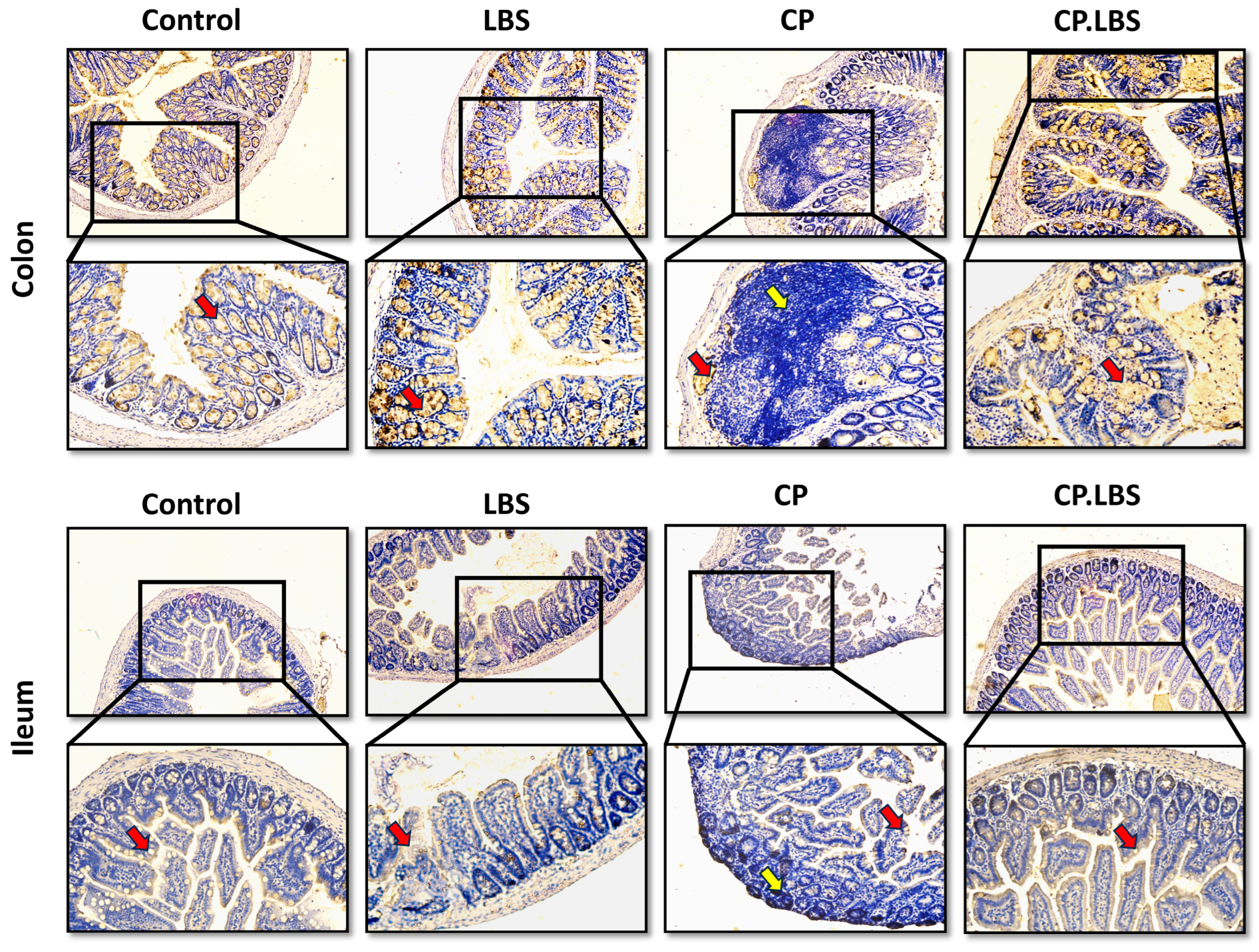 Pathogens 12 01340 g005