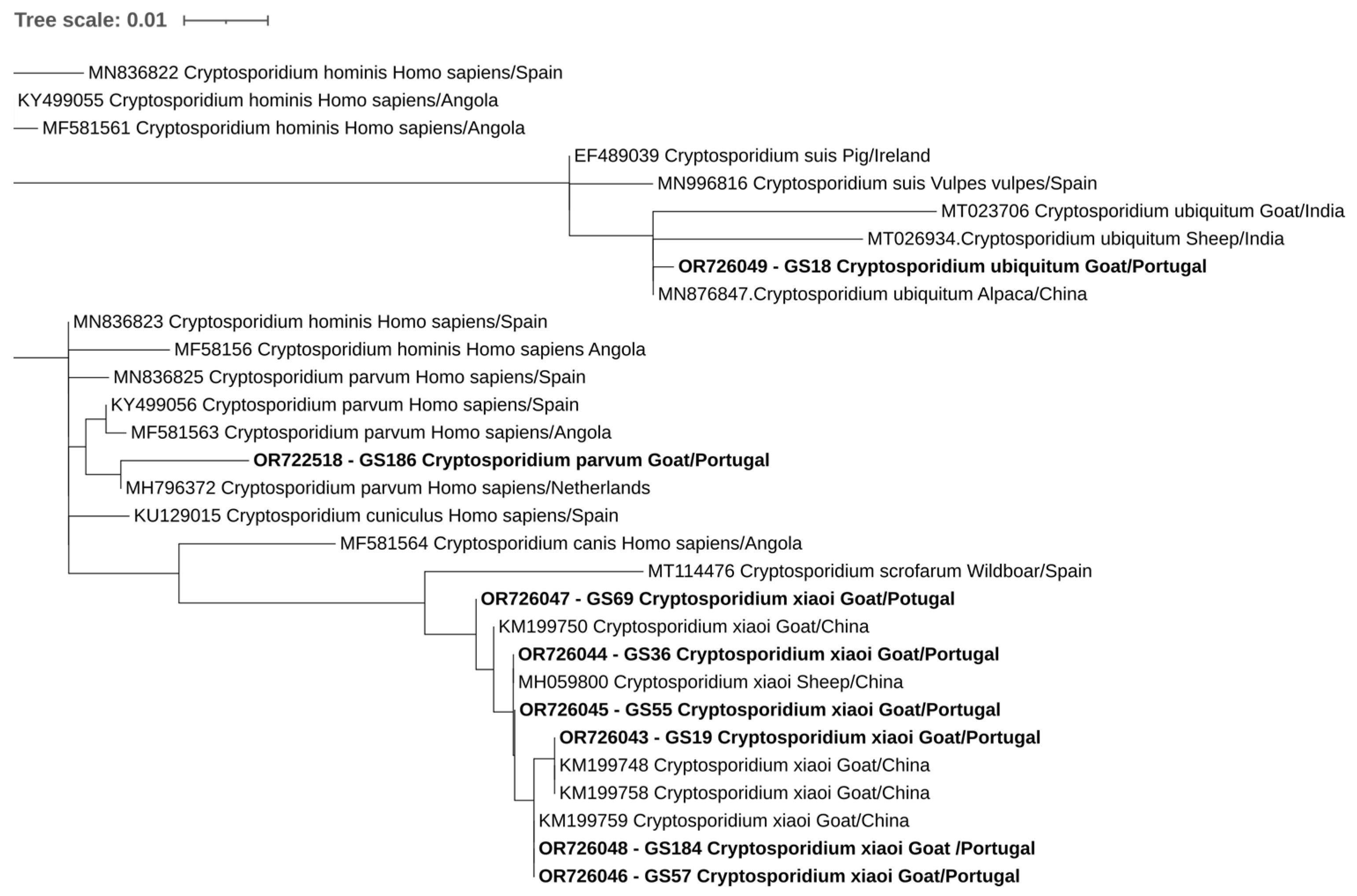 Pathogens 12 01341 g002