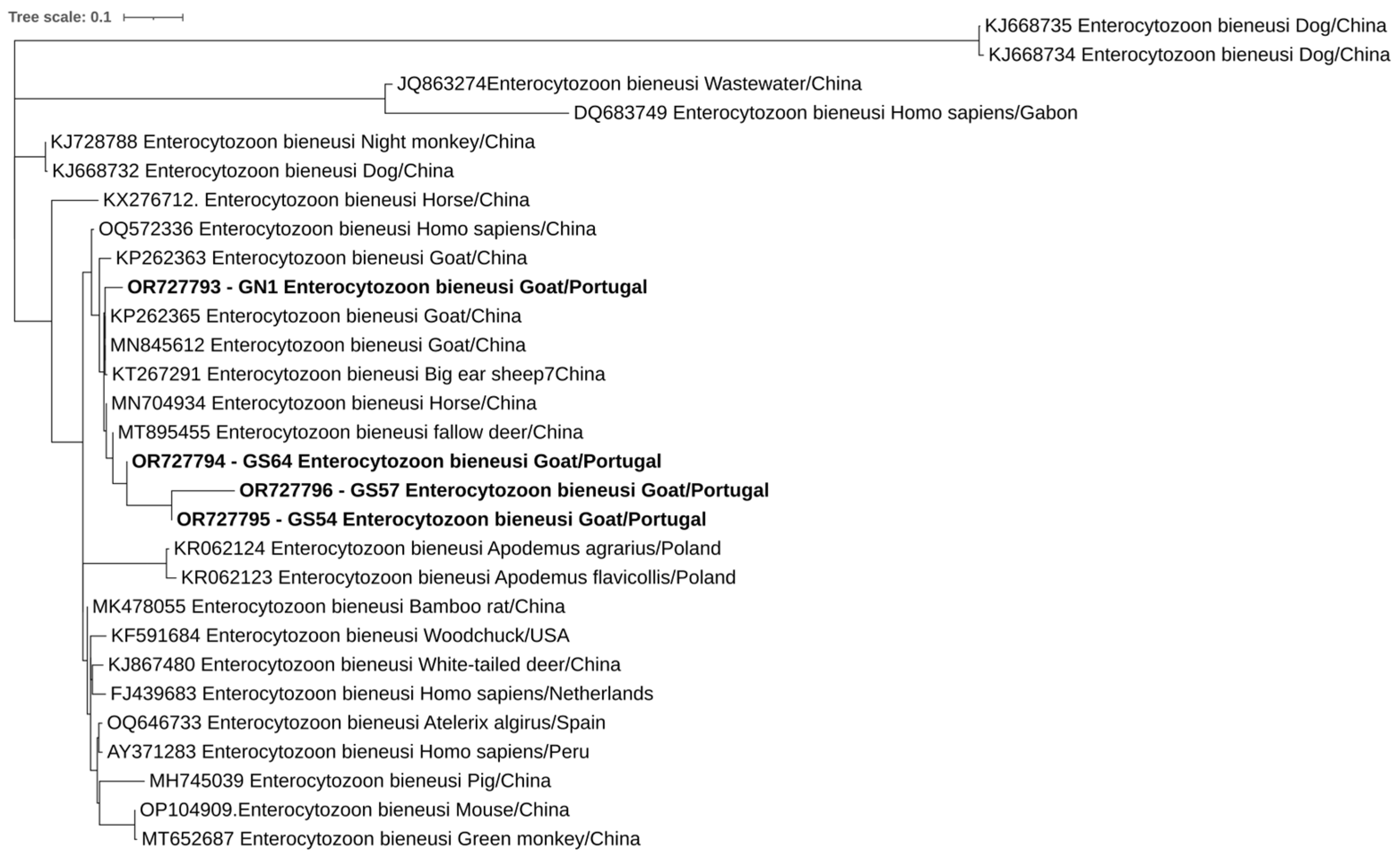 Pathogens 12 01341 g003