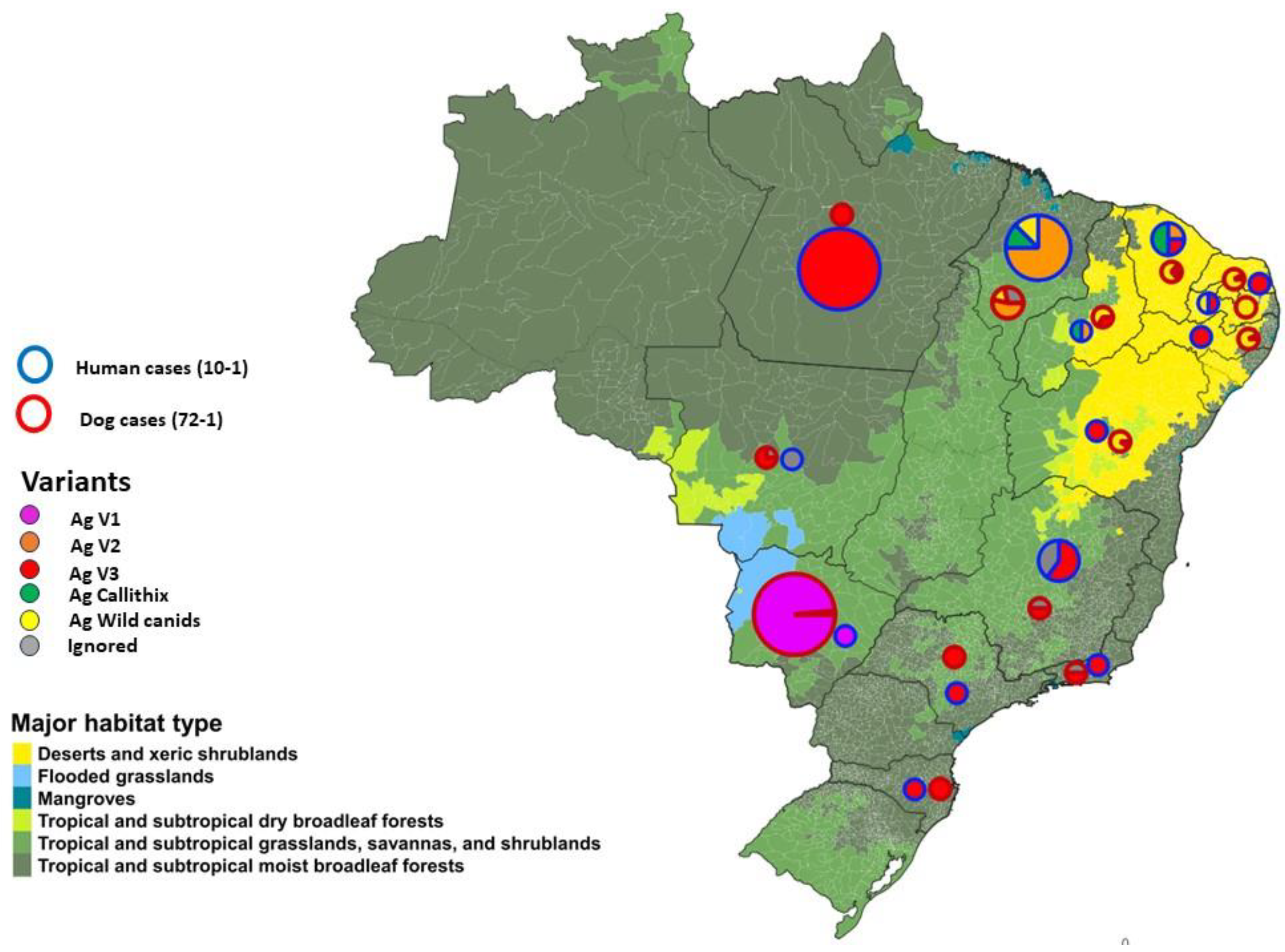 Pathogens 12 01342 g003