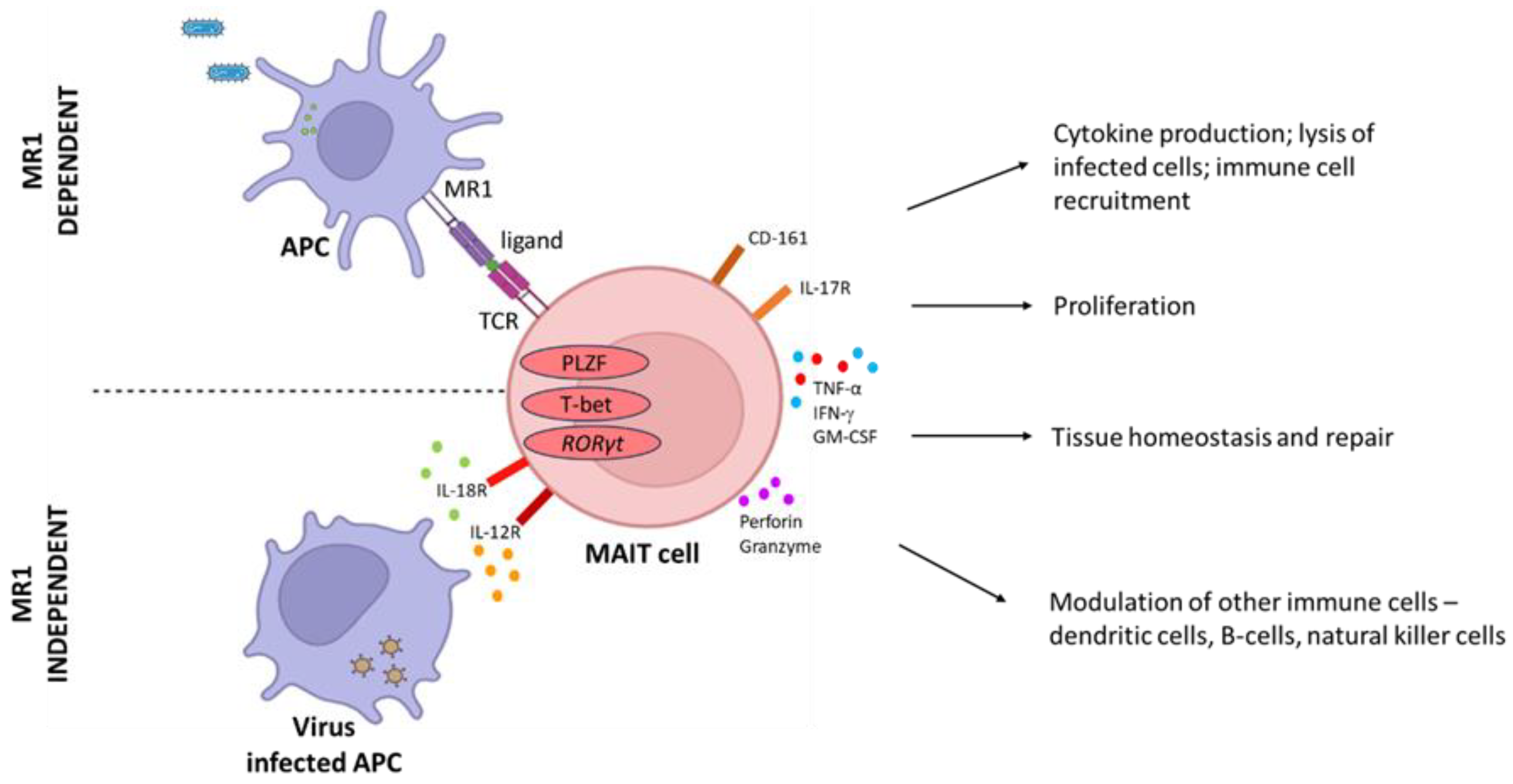 Pathogens 12 01343 g001