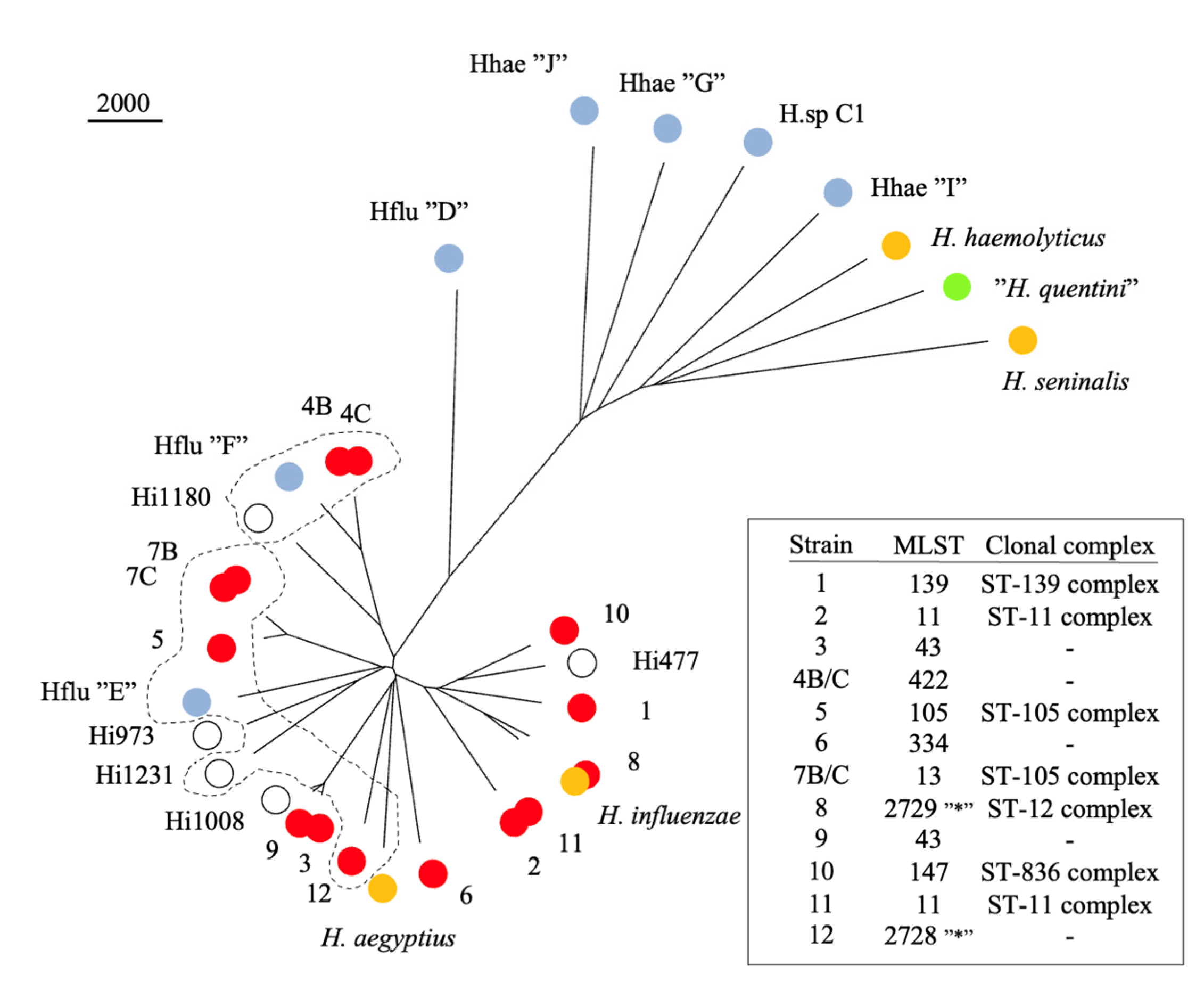Pathogens 12 01345 g001 Pathogens 12 01345 g001