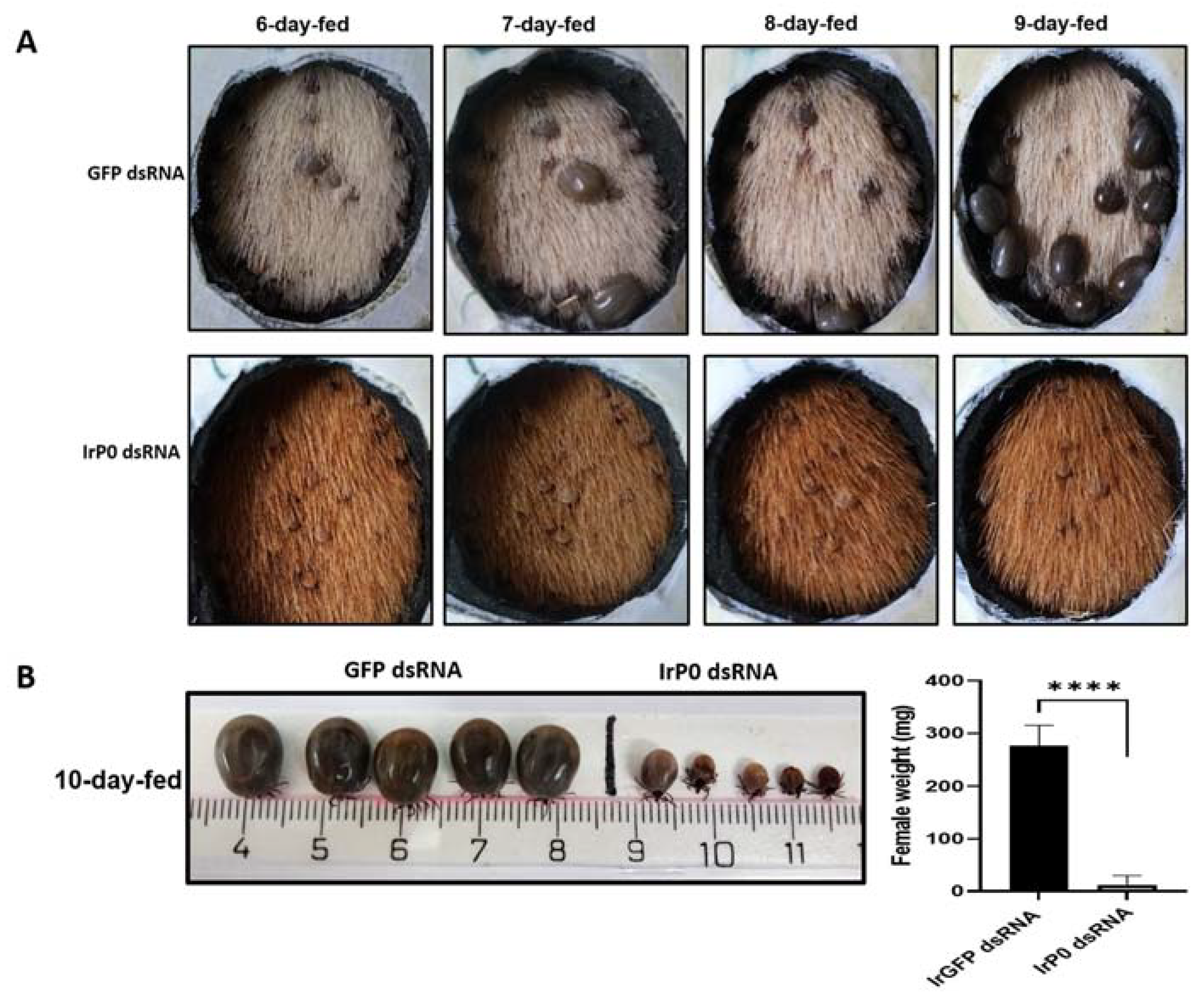 Pathogens 12 01365 g002
