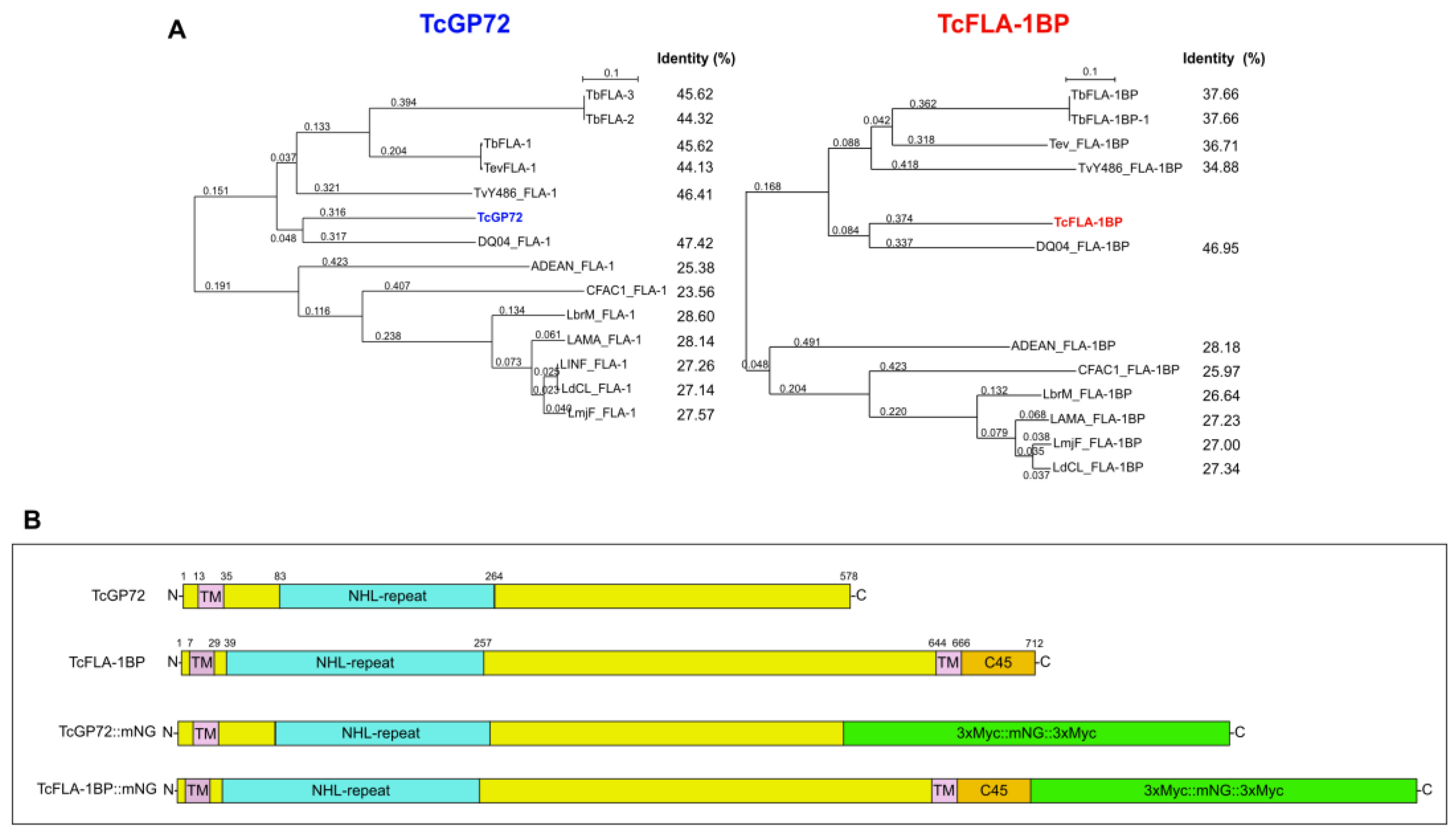 Pathogens 12 01367 g001
