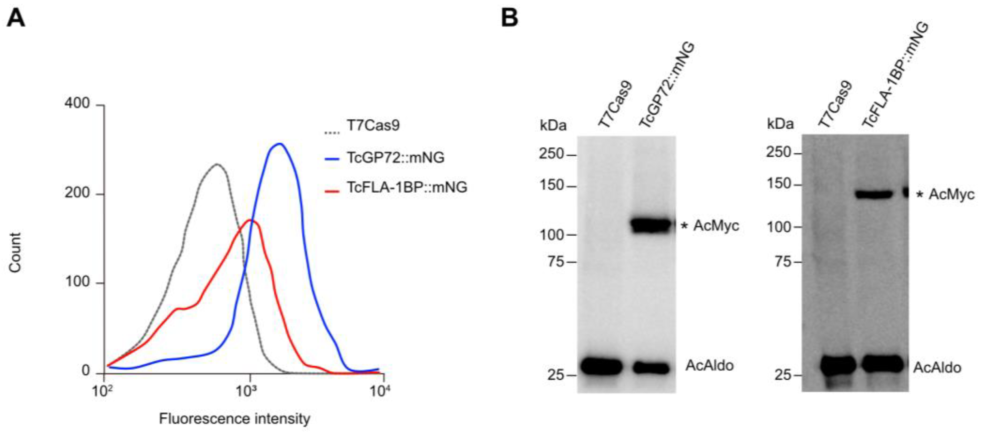 Pathogens 12 01367 g002