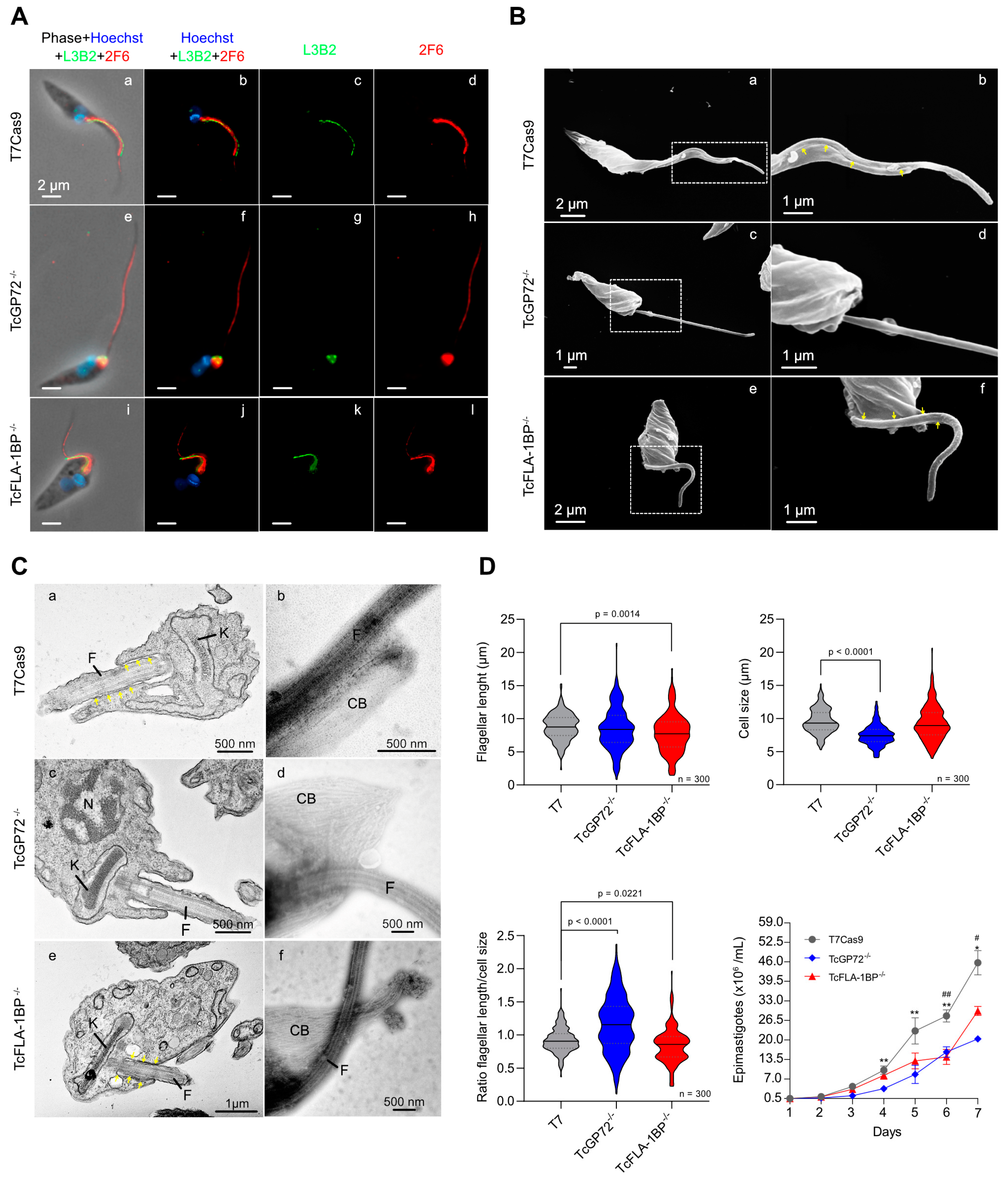 Pathogens 12 01367 g006