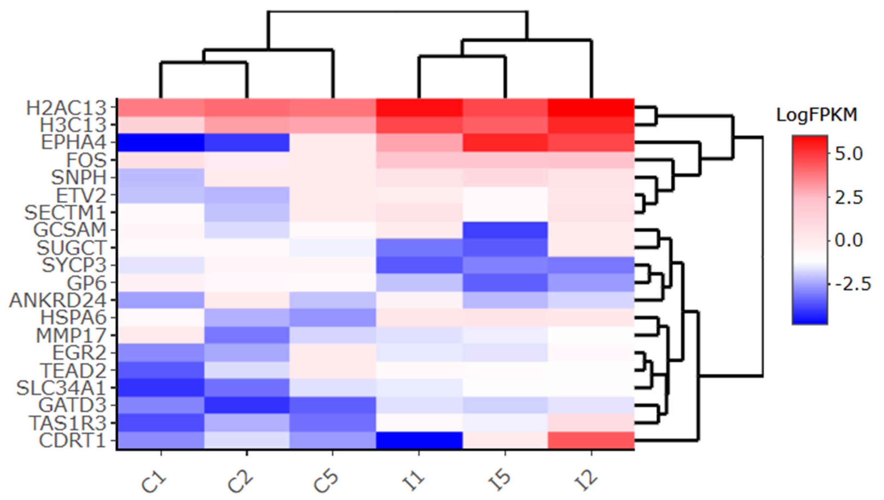 PDF) SARS-CoV-2 ORF3A interacts with the Clic-like chloride channel-1 (  CLCC1 ) and triggers an unfolded protein response