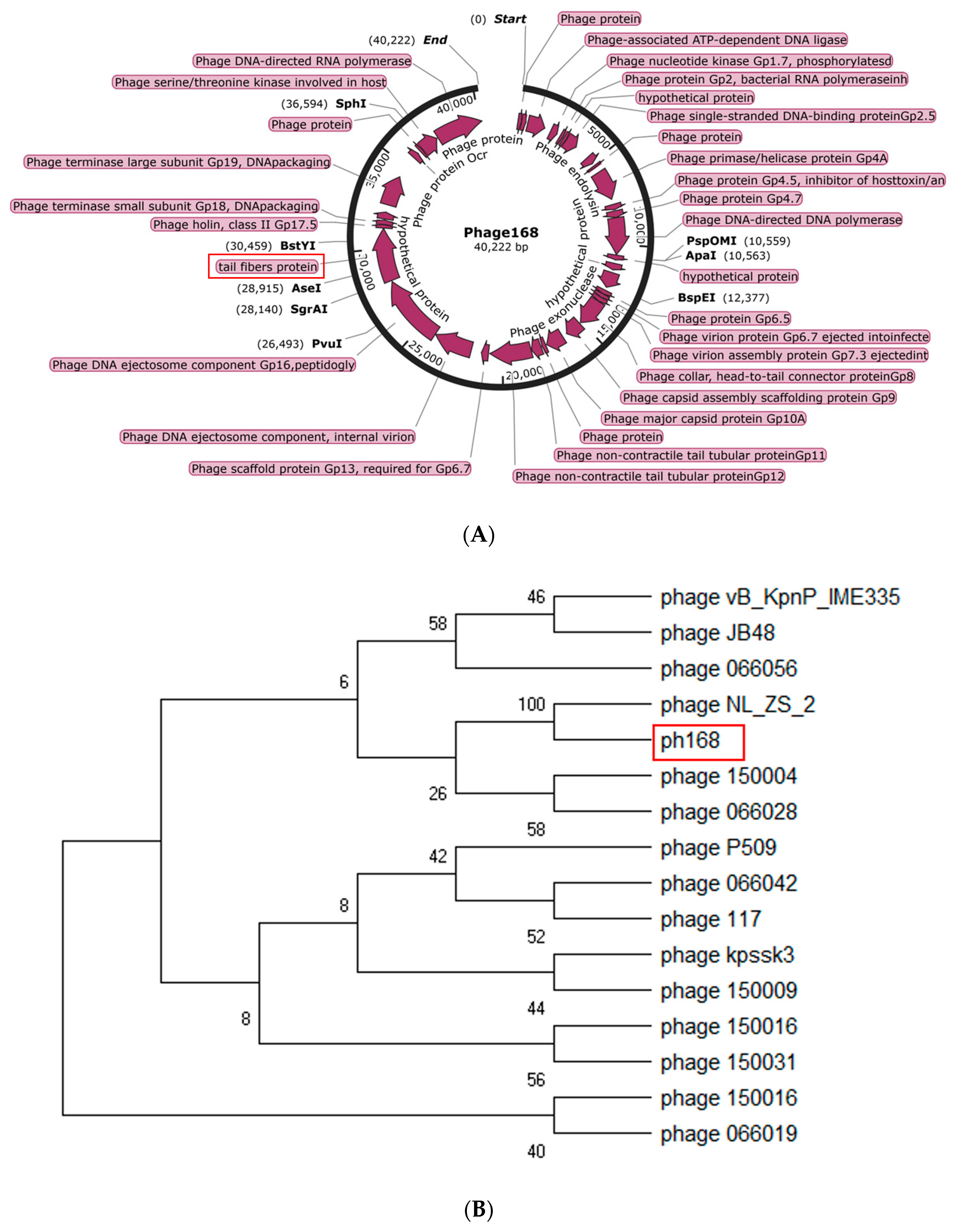 Pathogens 12 01396 g003