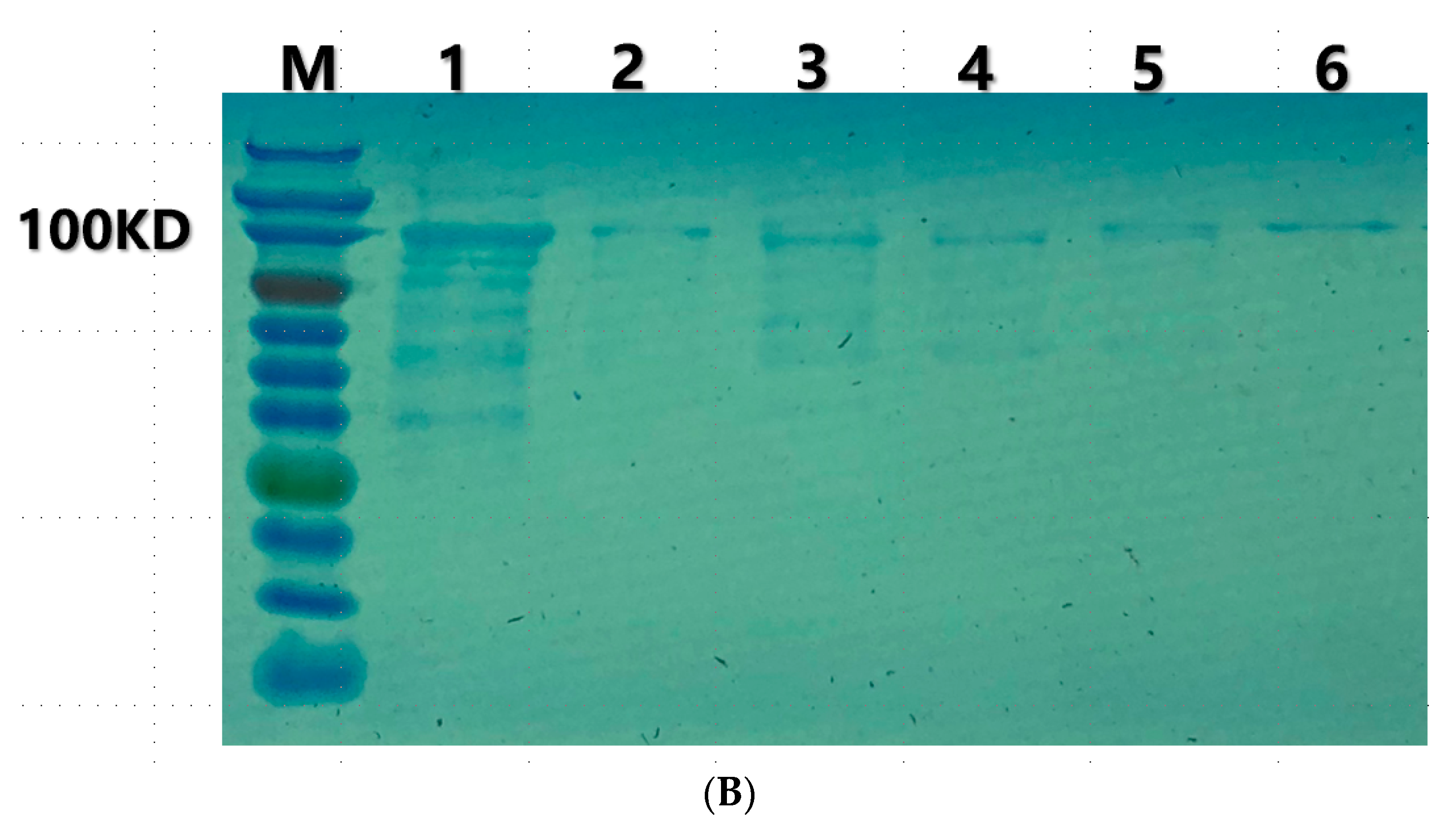 Pathogens 12 01396 g004b