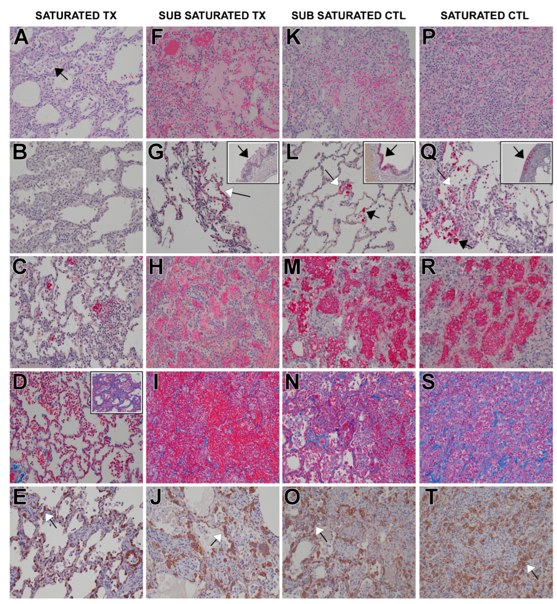 Pathogens 12 01408 g005