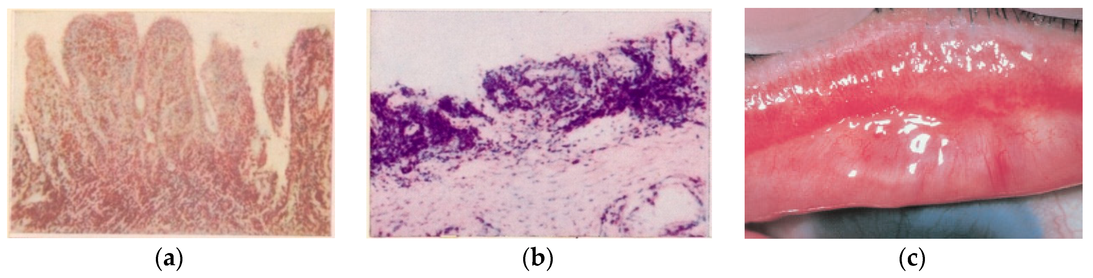 Pathogens 12 01419 g002 Pathogens 12 01419 g002