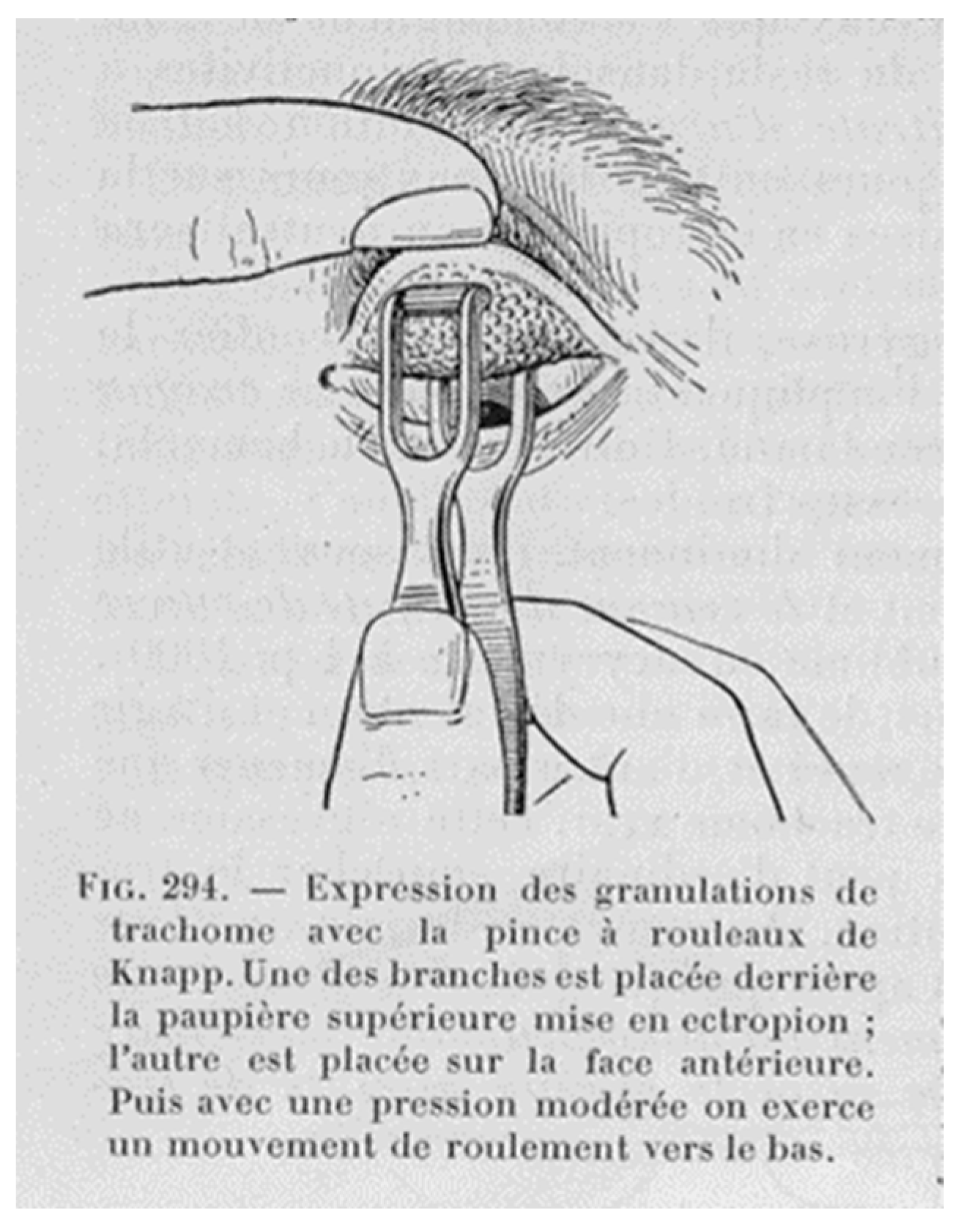 Pathogens 12 01419 g003 Pathogens 12 01419 g003