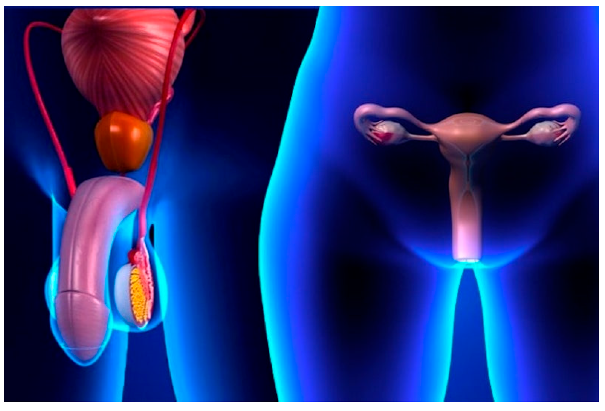 Pathogens 12 01419 g006 Pathogens 12 01419 g006