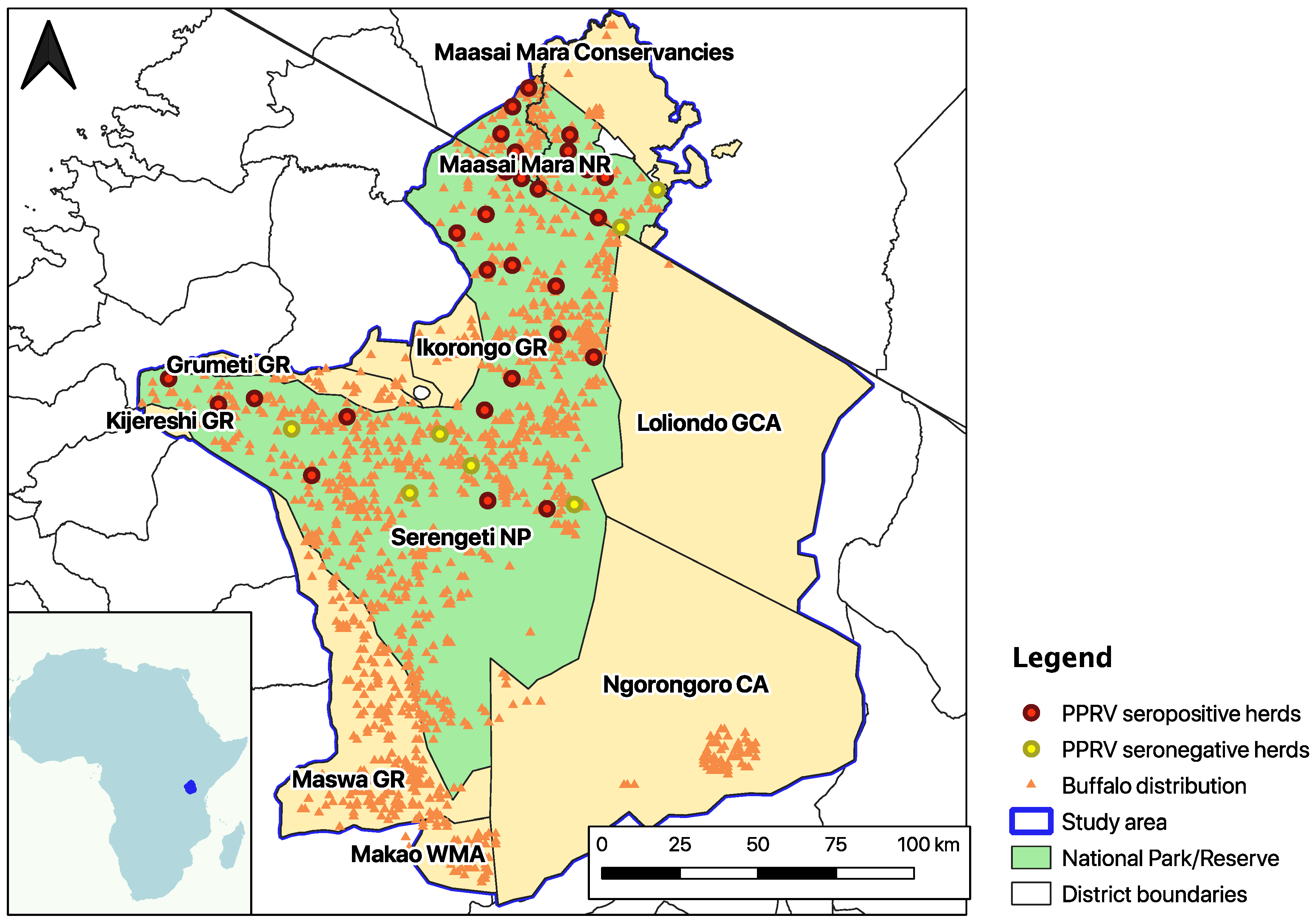 Pathogens 12 01423 g001