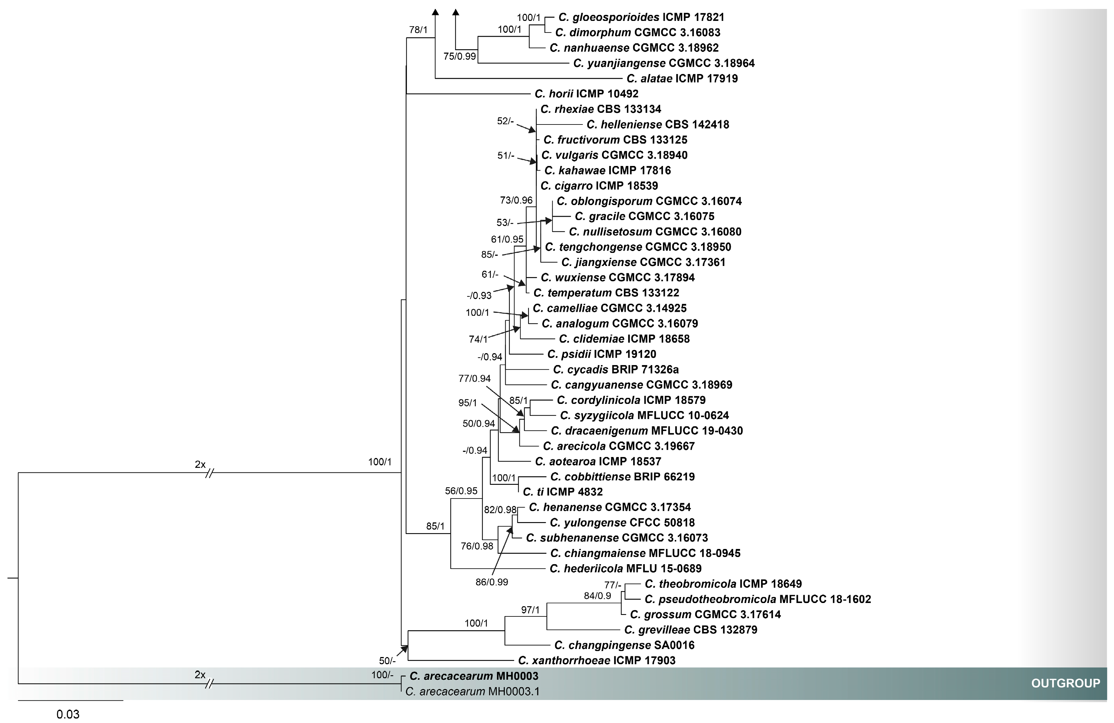 Pathogens 12 01436 g001b