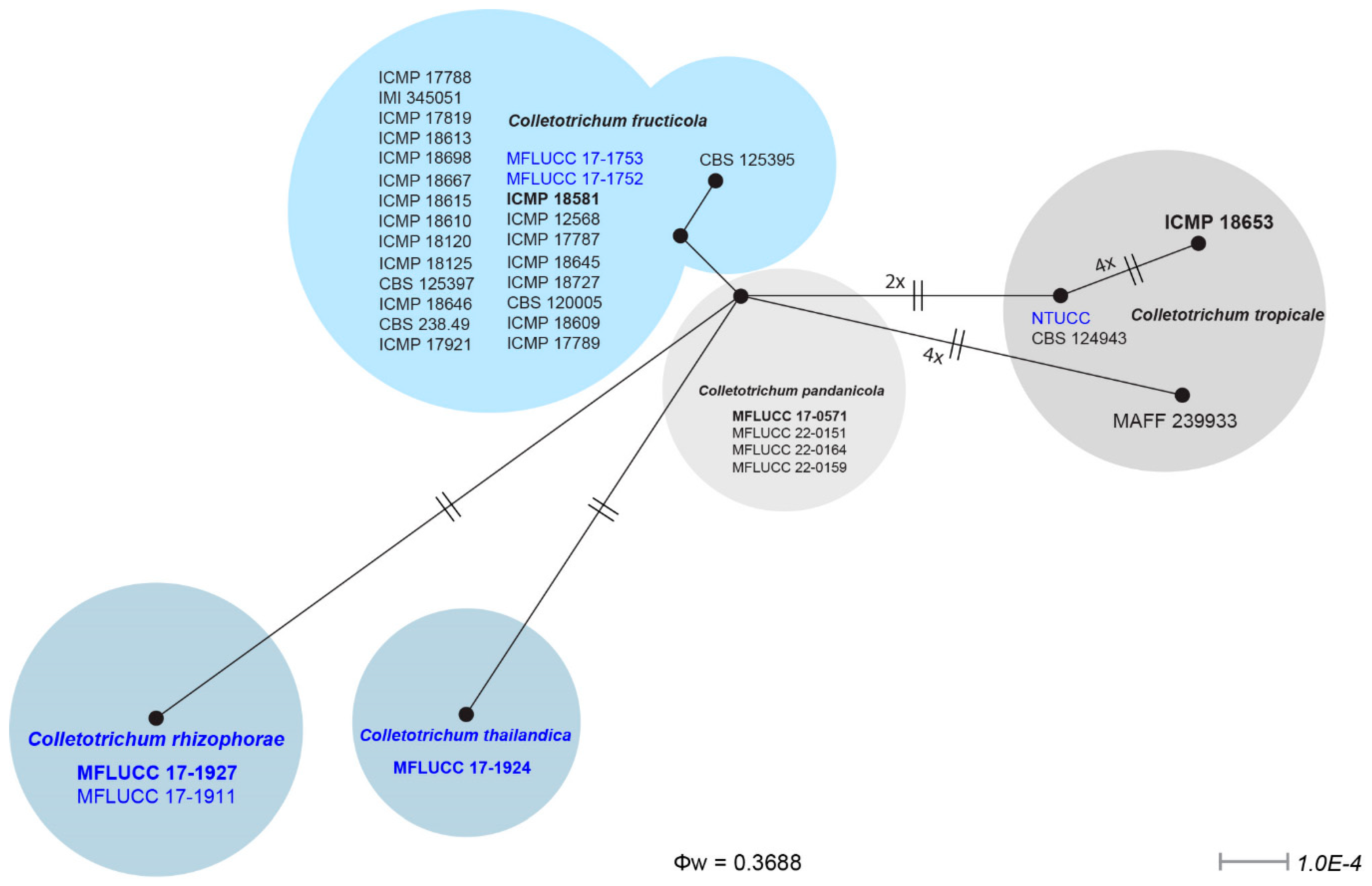 Pathogens 12 01436 g002