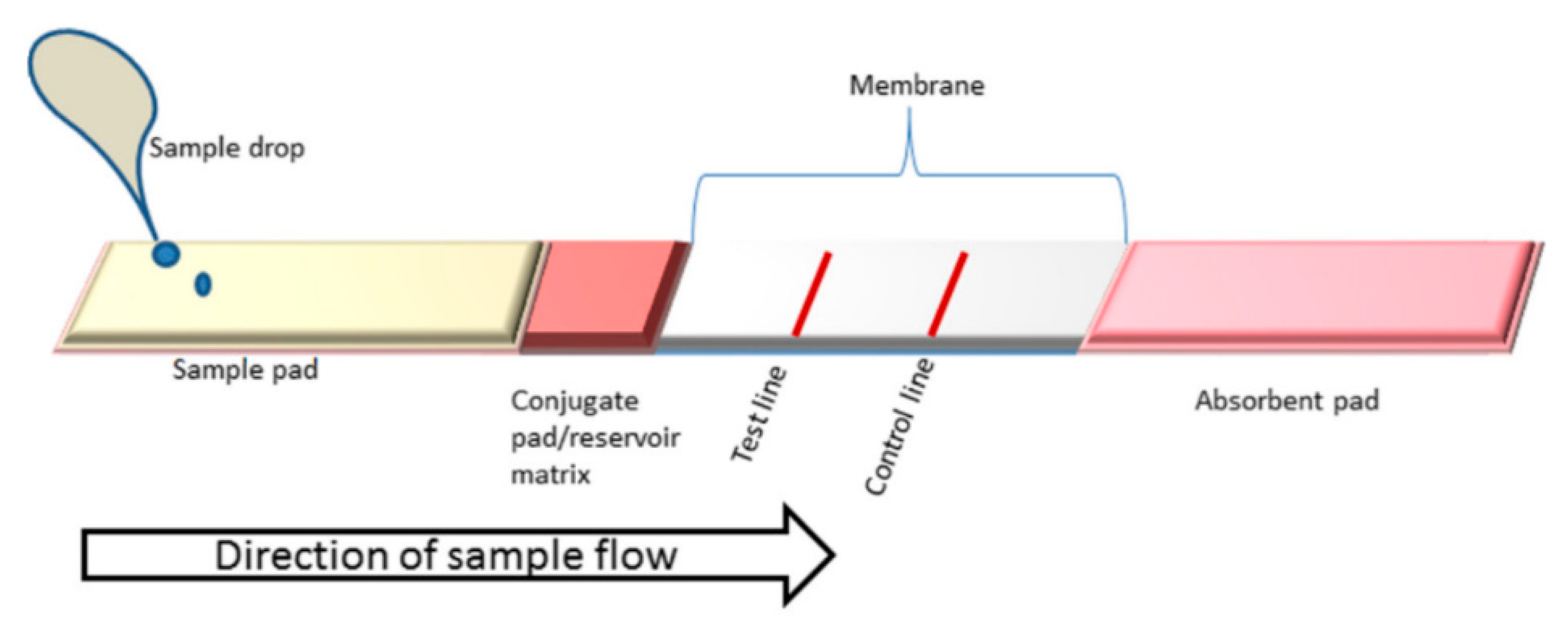 Pathogens 12 01441 g002
