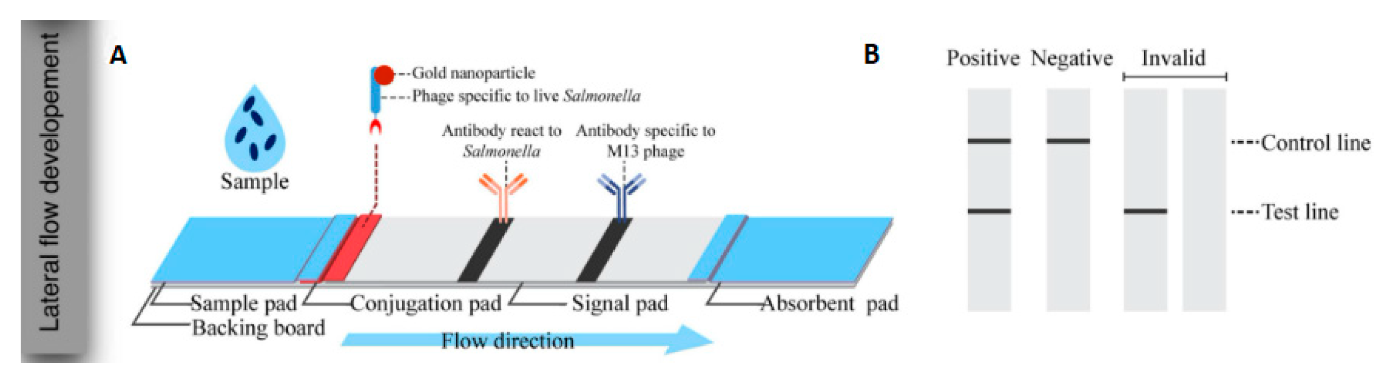 Pathogens 12 01441 g004