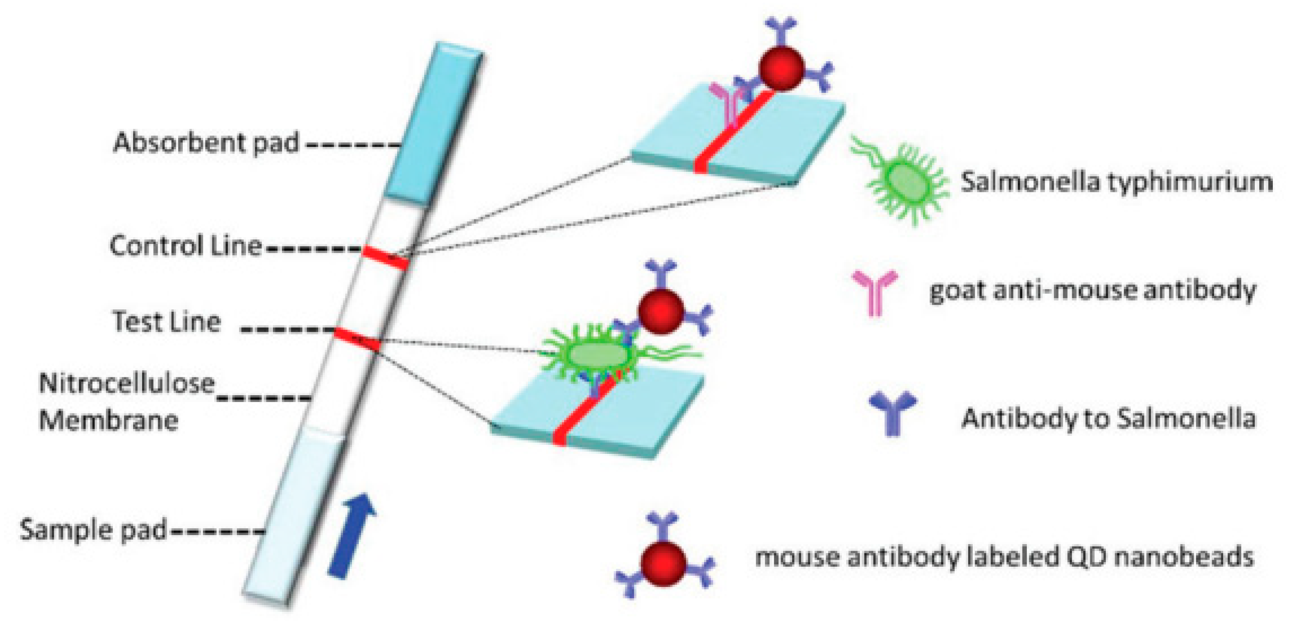Pathogens 12 01441 g008