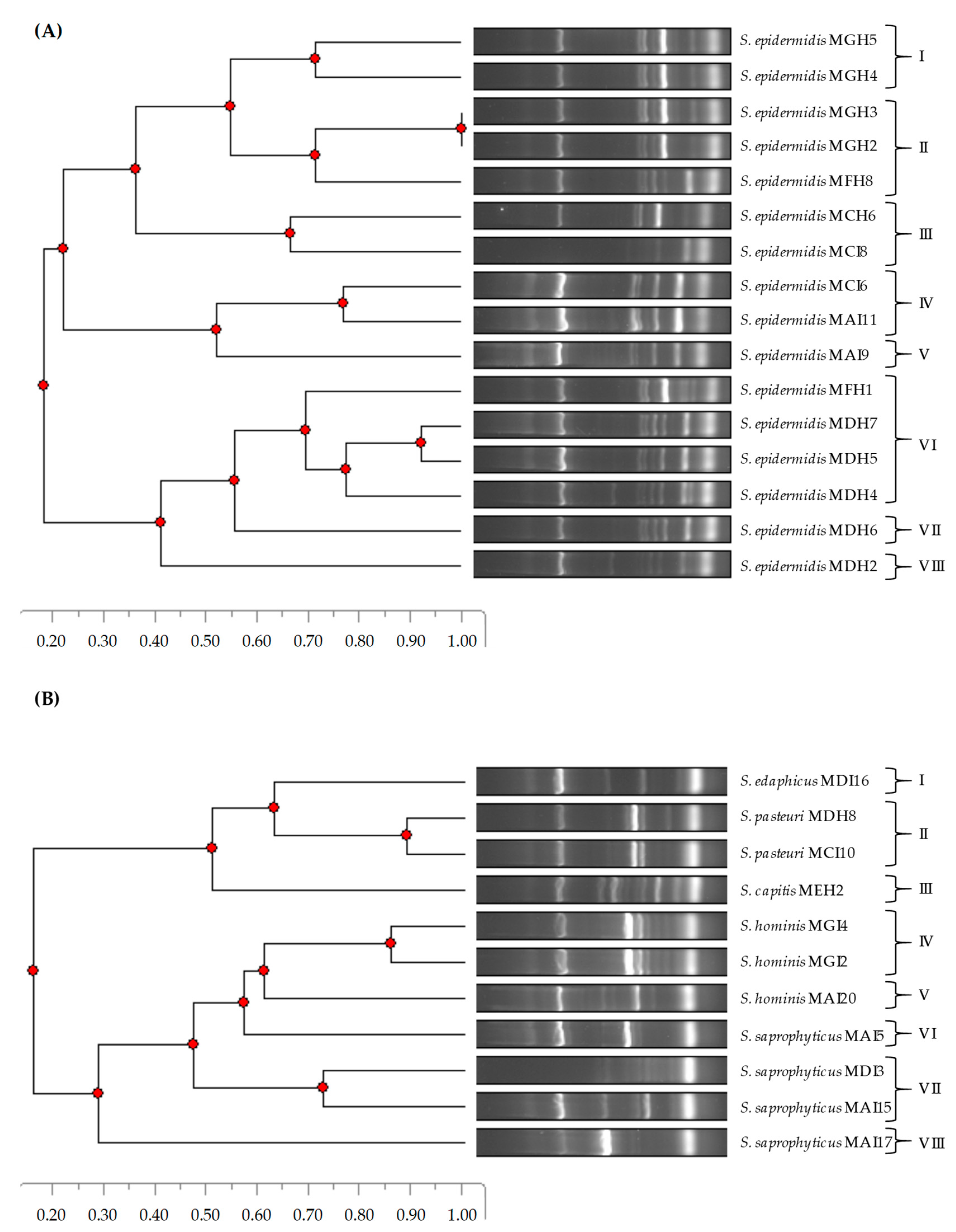 Pathogens 12 01447 g001 Pathogens 12 01447 g001