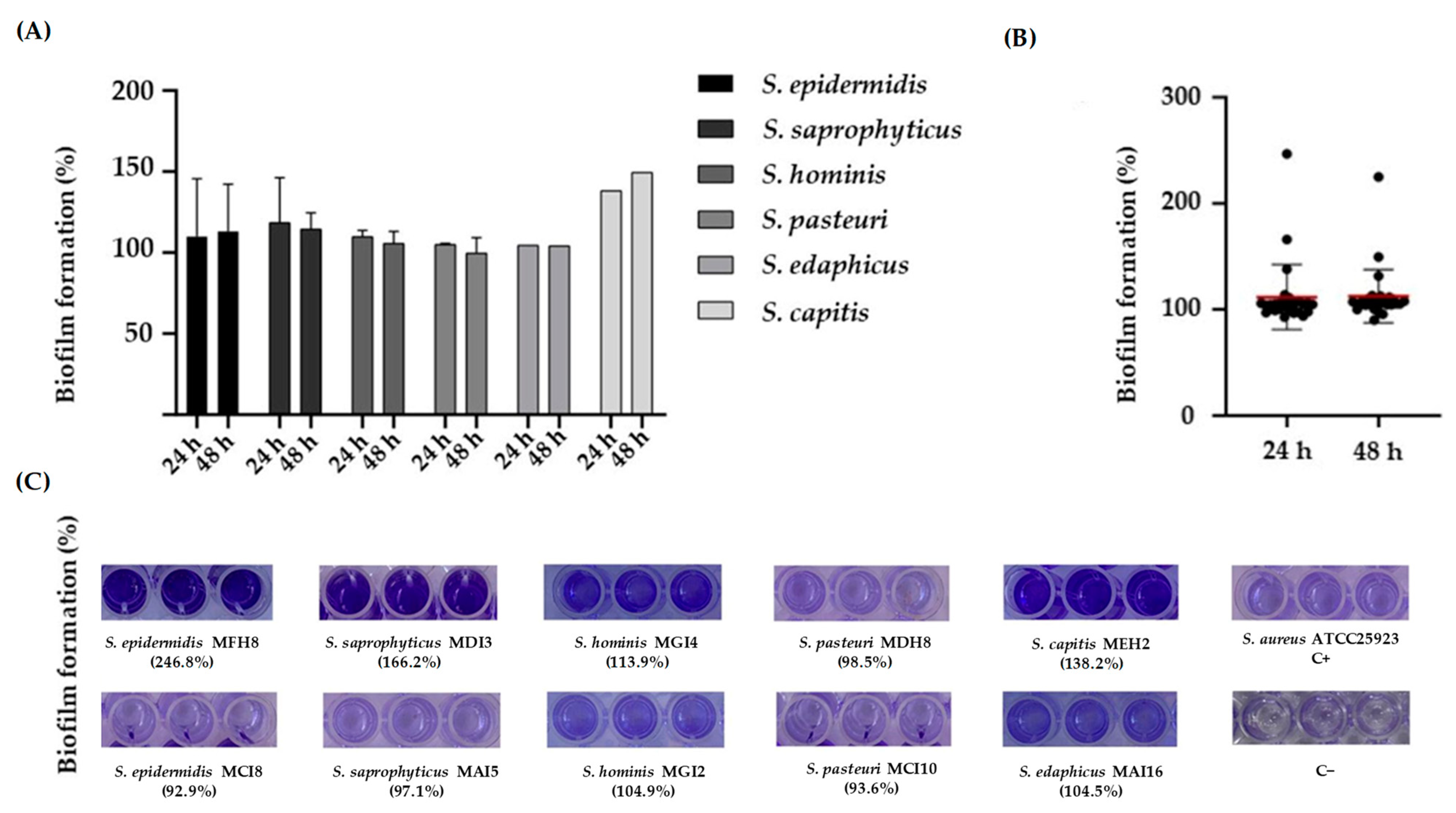Pathogens 12 01447 g002 Pathogens 12 01447 g002