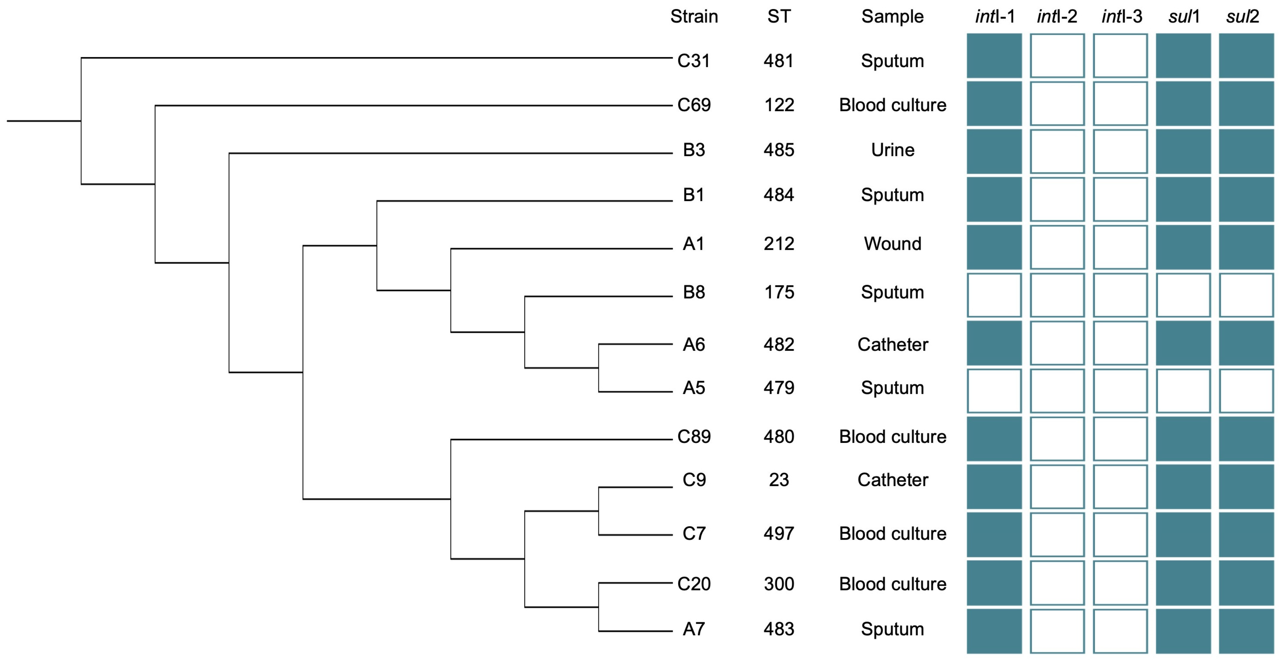 Pathogens 12 01448 g002