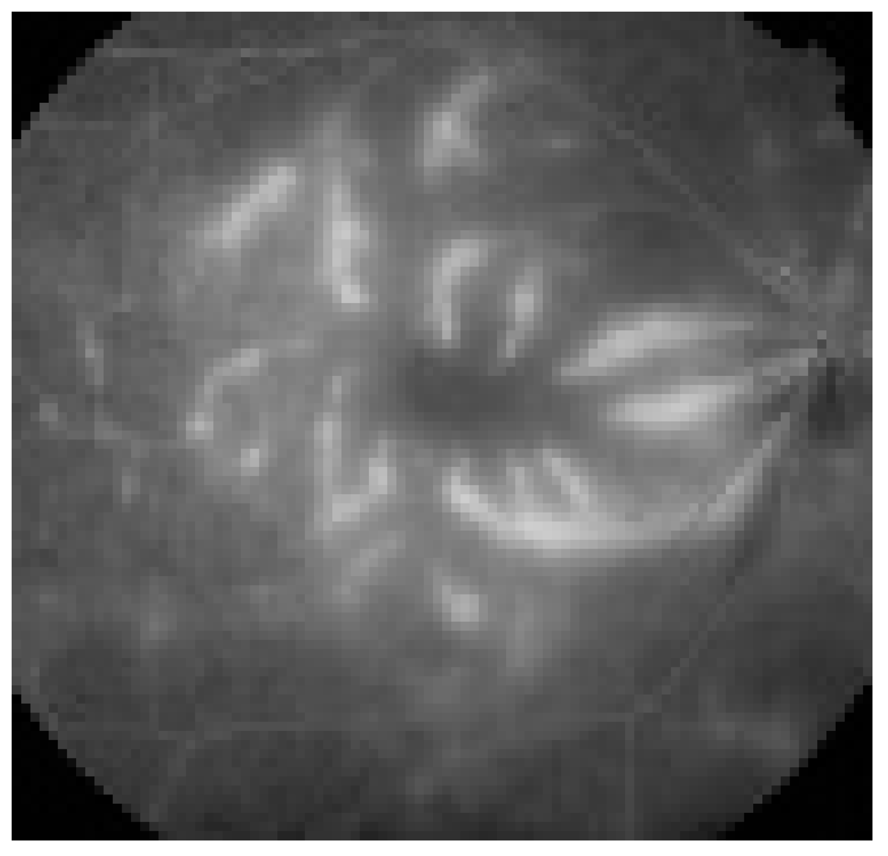 Pathogens 12 01457 g002