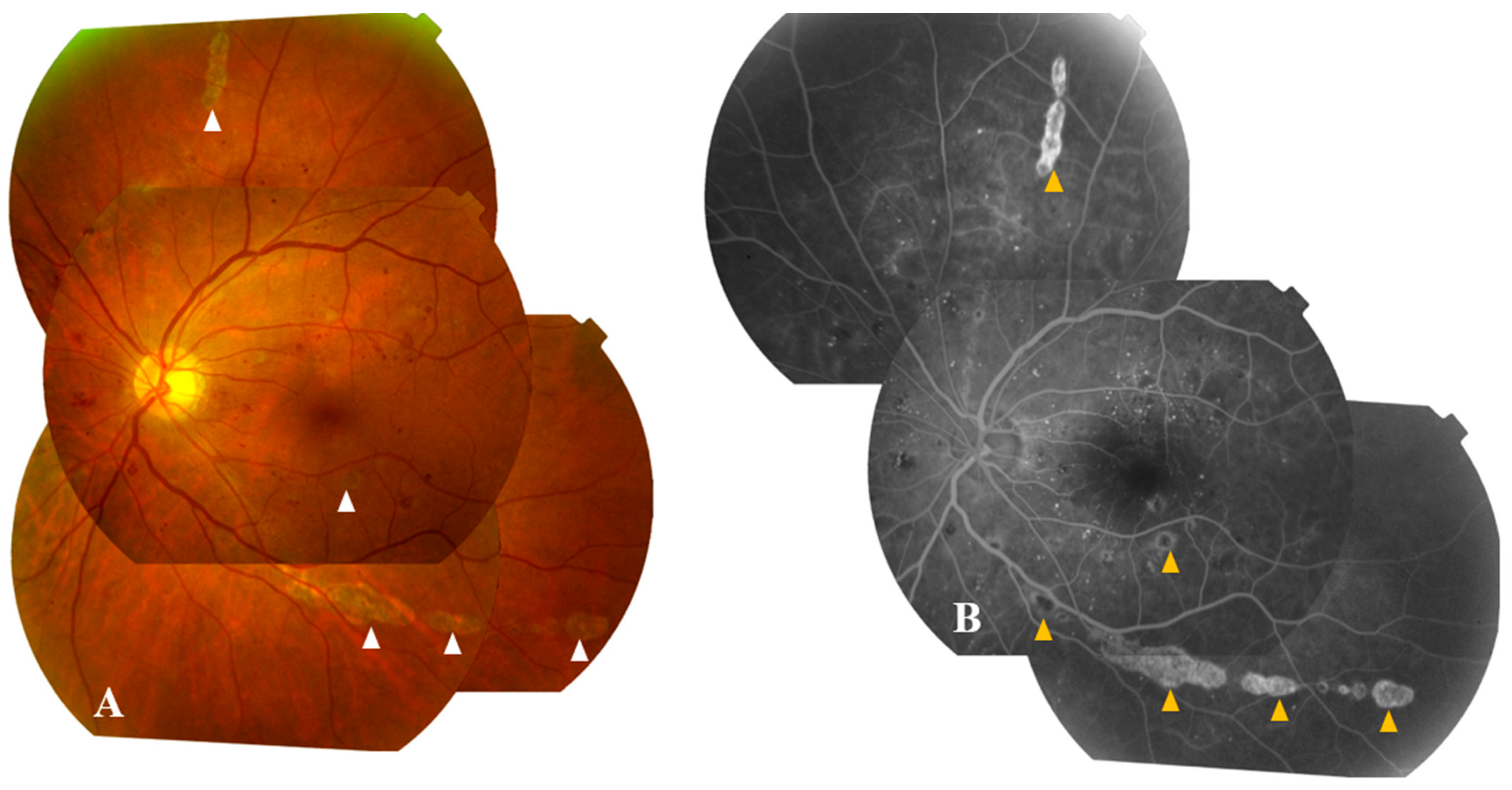 Pathogens 12 01457 g004