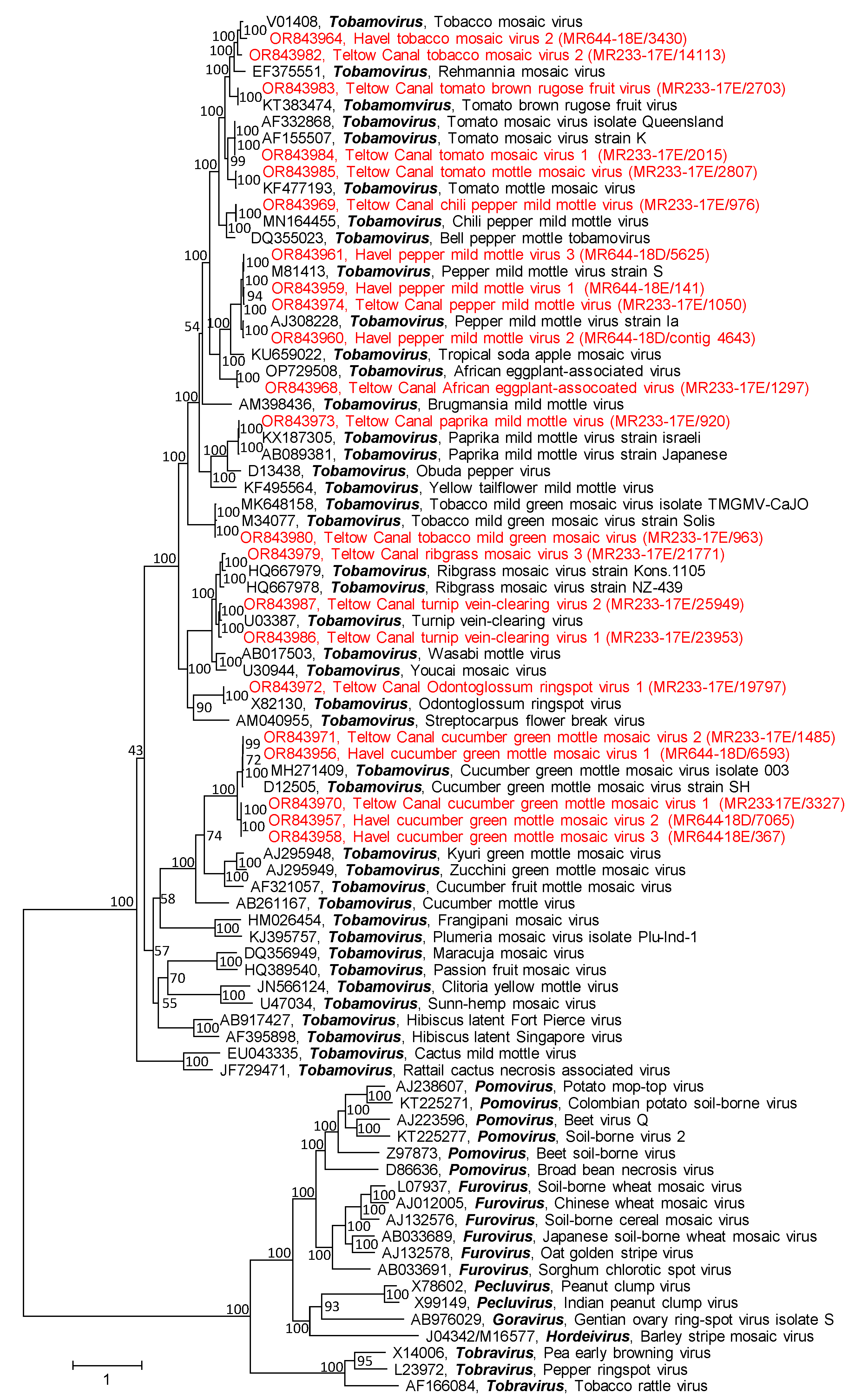 Pathogens 12 01458 g004