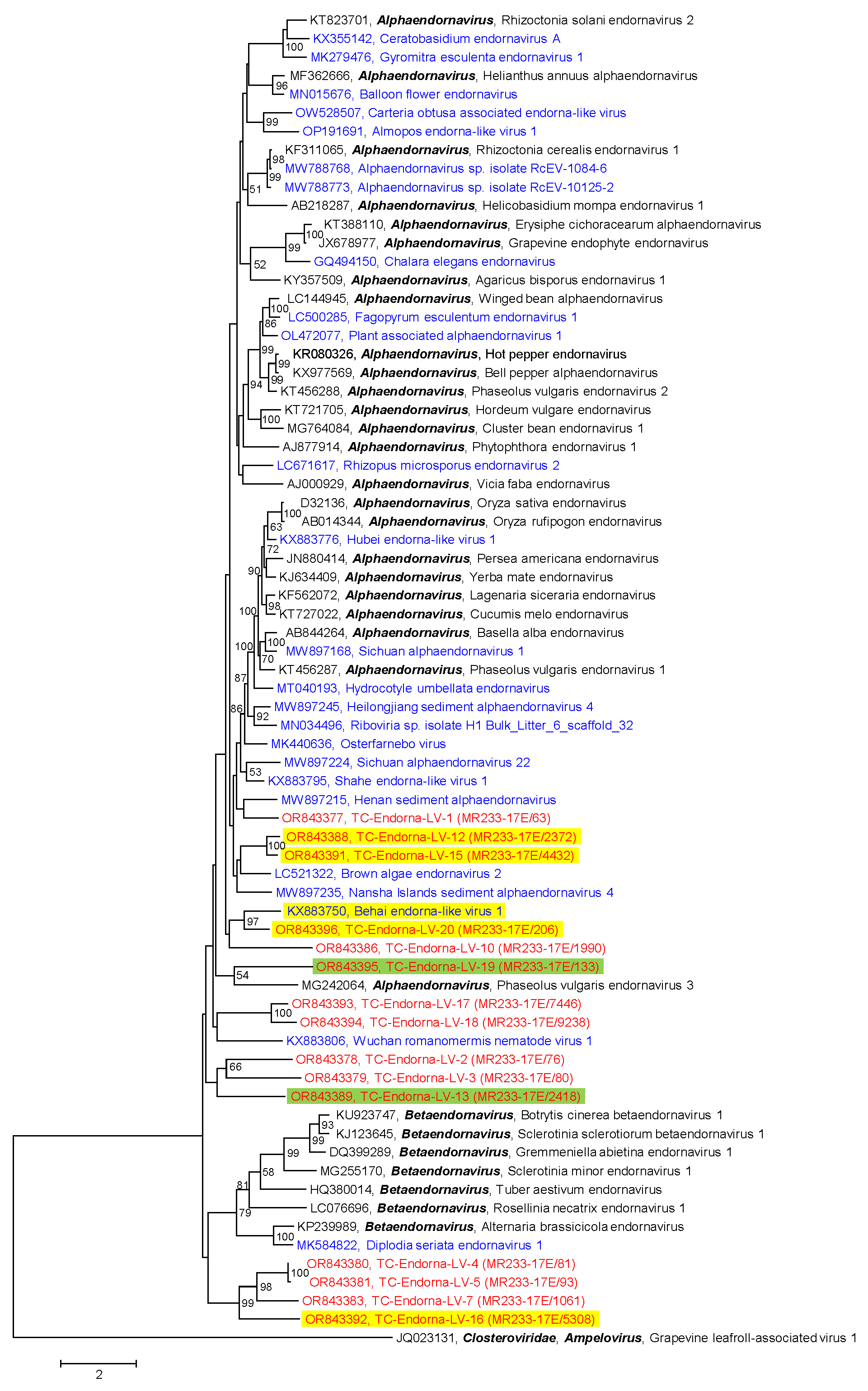 Pathogens 12 01458 g005