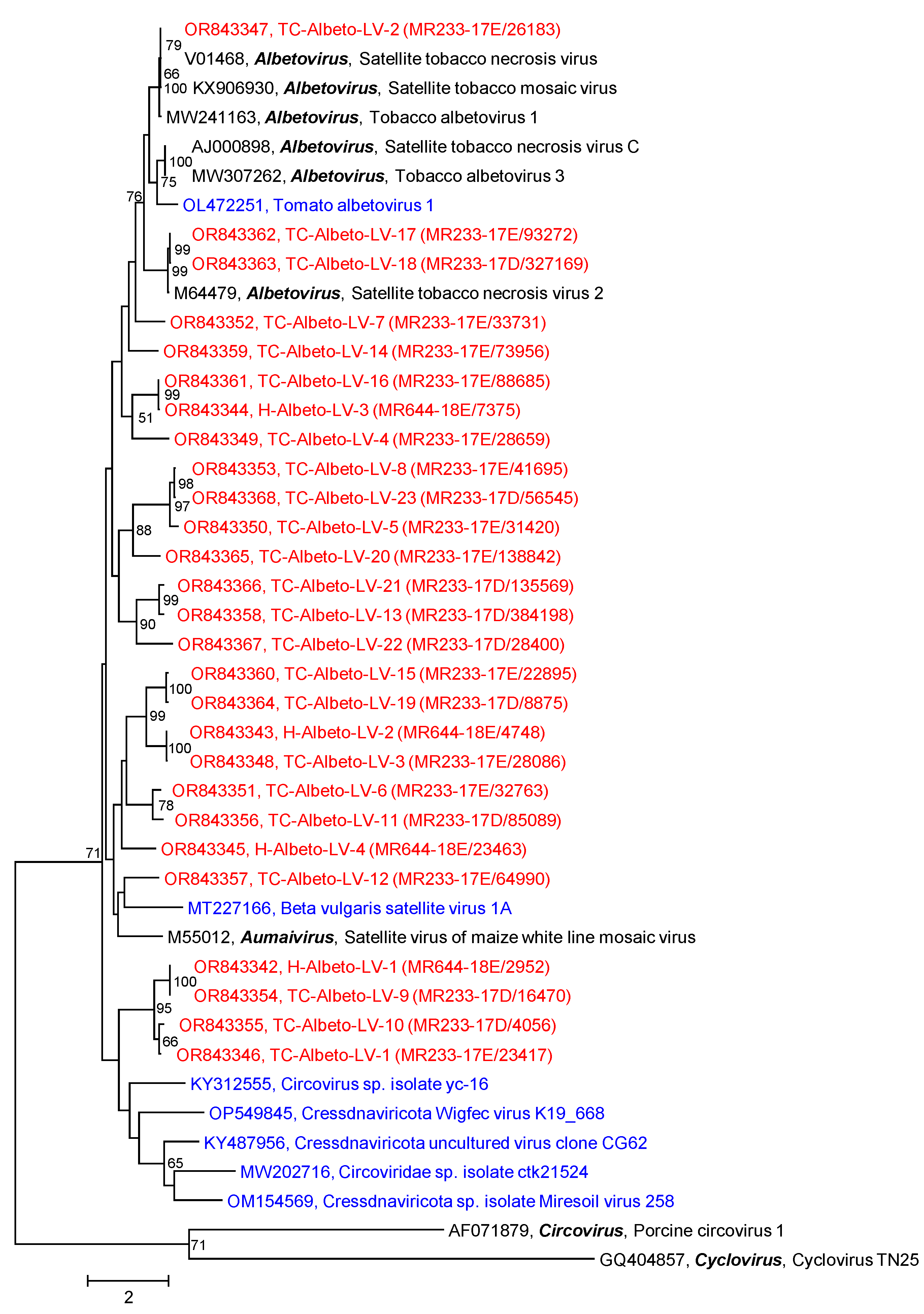 Pathogens 12 01458 g007