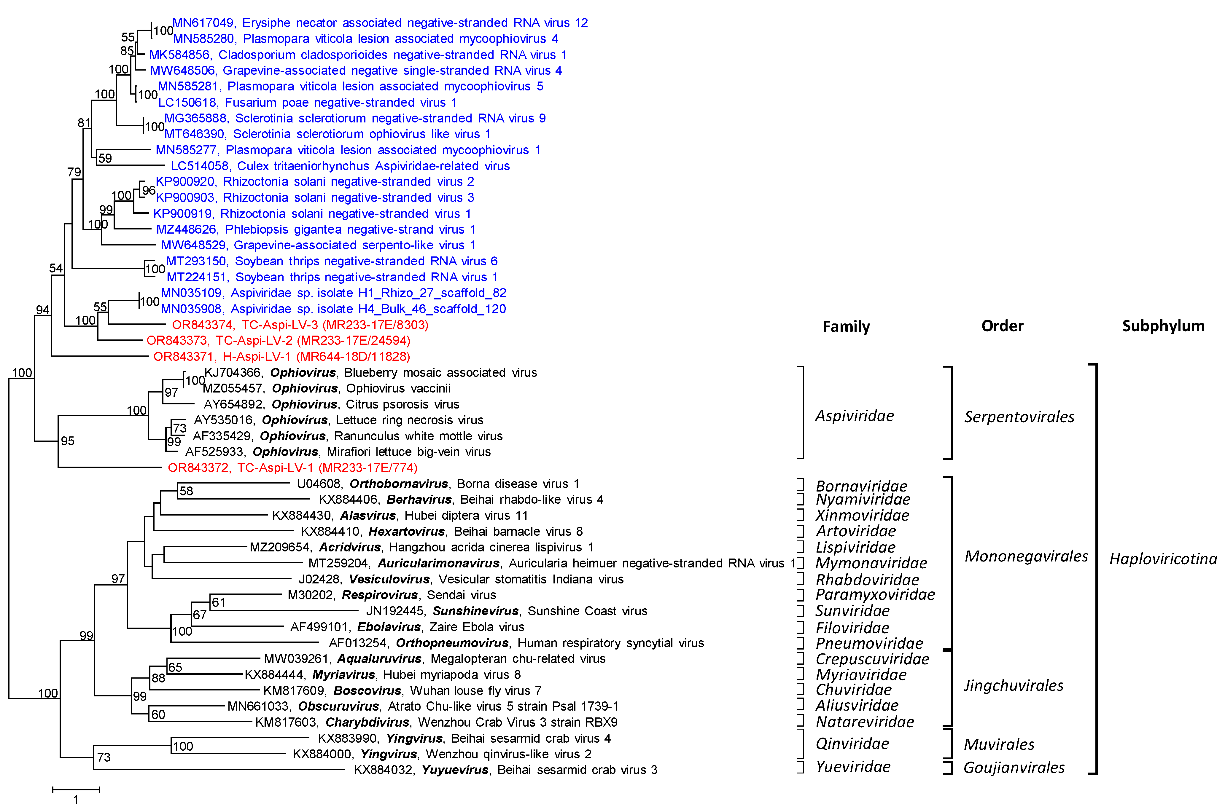Pathogens 12 01458 g008