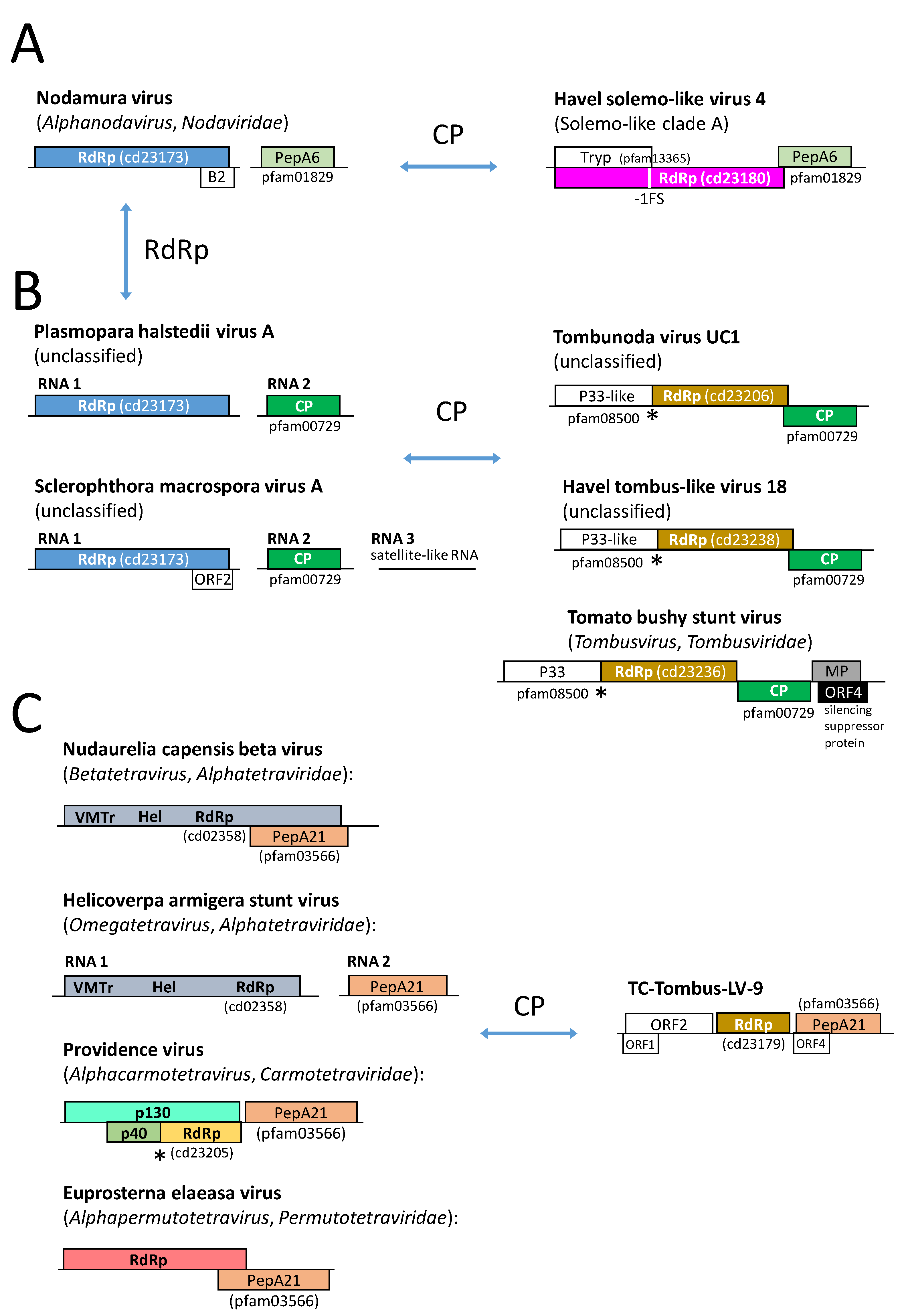 Pathogens 12 01458 g010