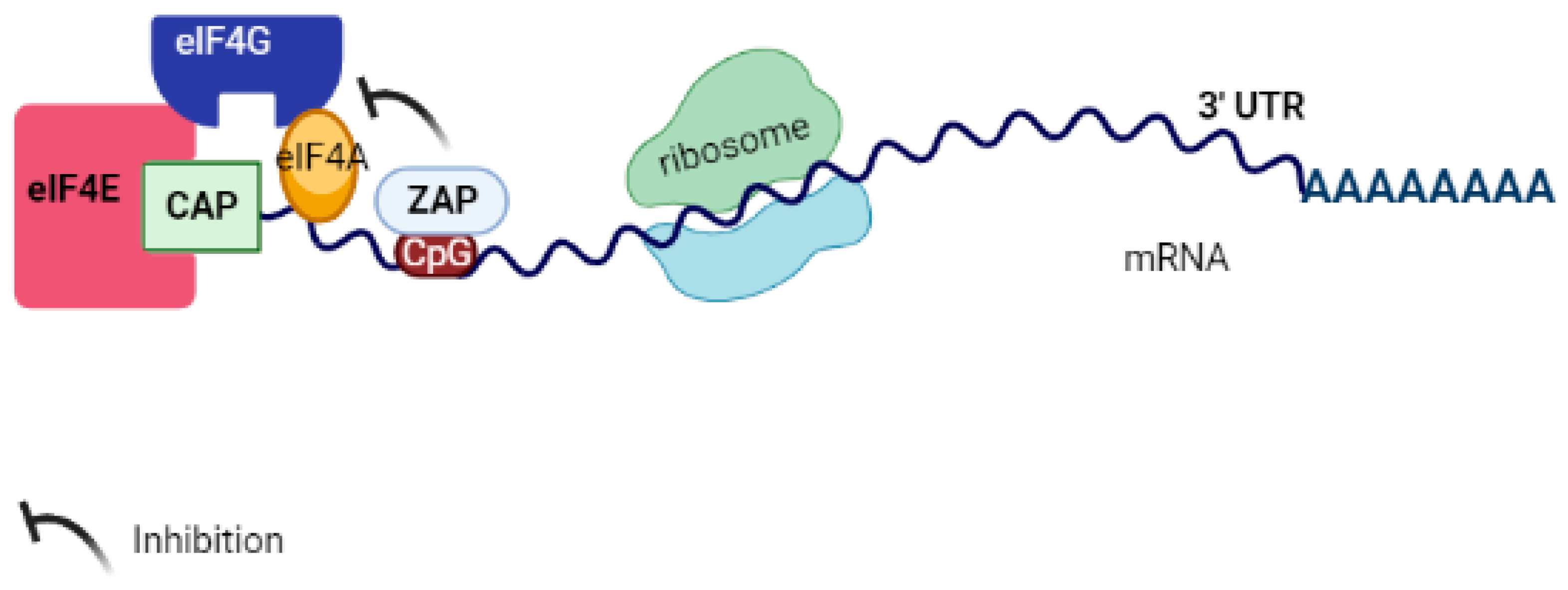 Pathogens 12 01461 g005 Pathogens 12 01461 g005