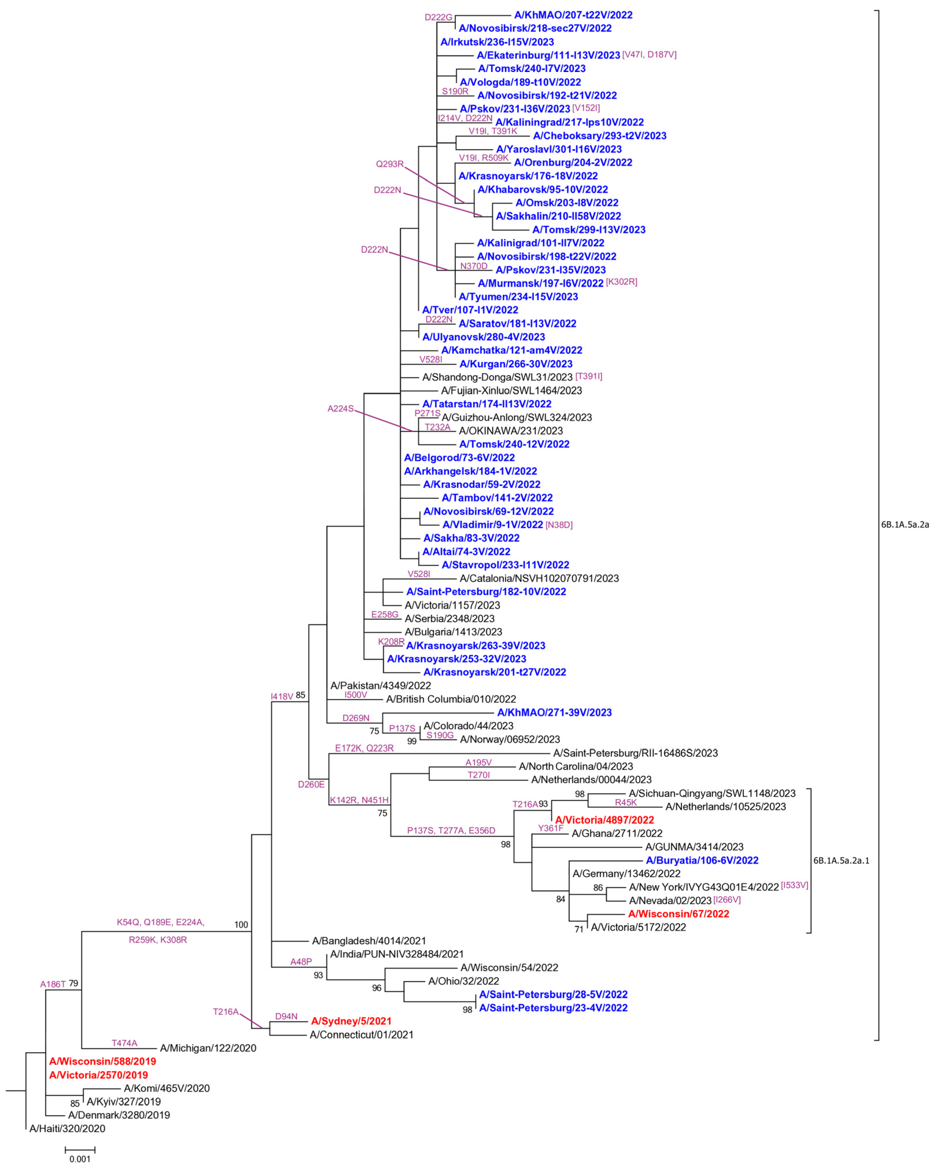 Pathogens 13 00001 g001 Pathogens 13 00001 g001